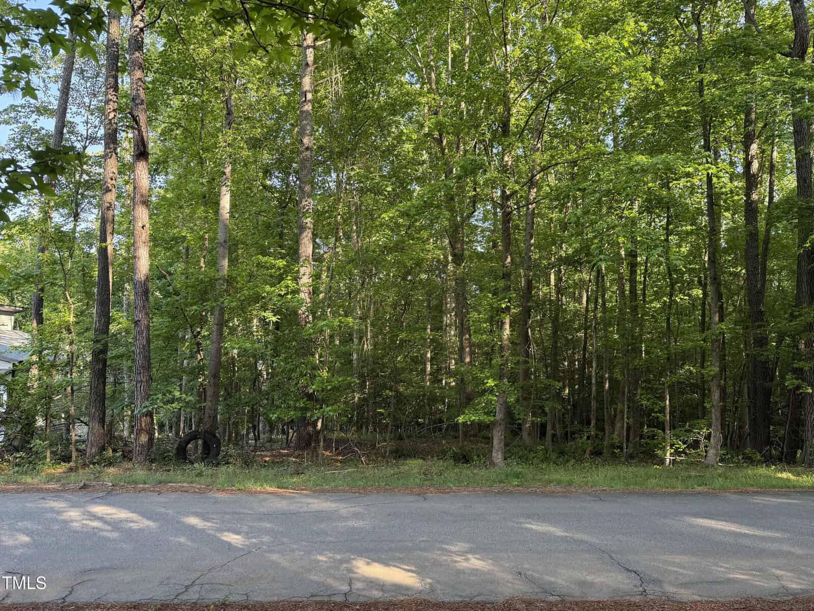 Paved road in front of a dense forest with tall trees and green foliage. Sunlight is filtering through the leaves. Part of a house is visible on the left edge of the image.