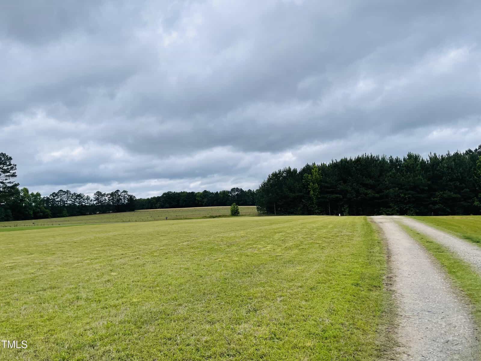 A gravel road curves through a large, open grassy field bordered by dense pine trees under a cloudy sky.