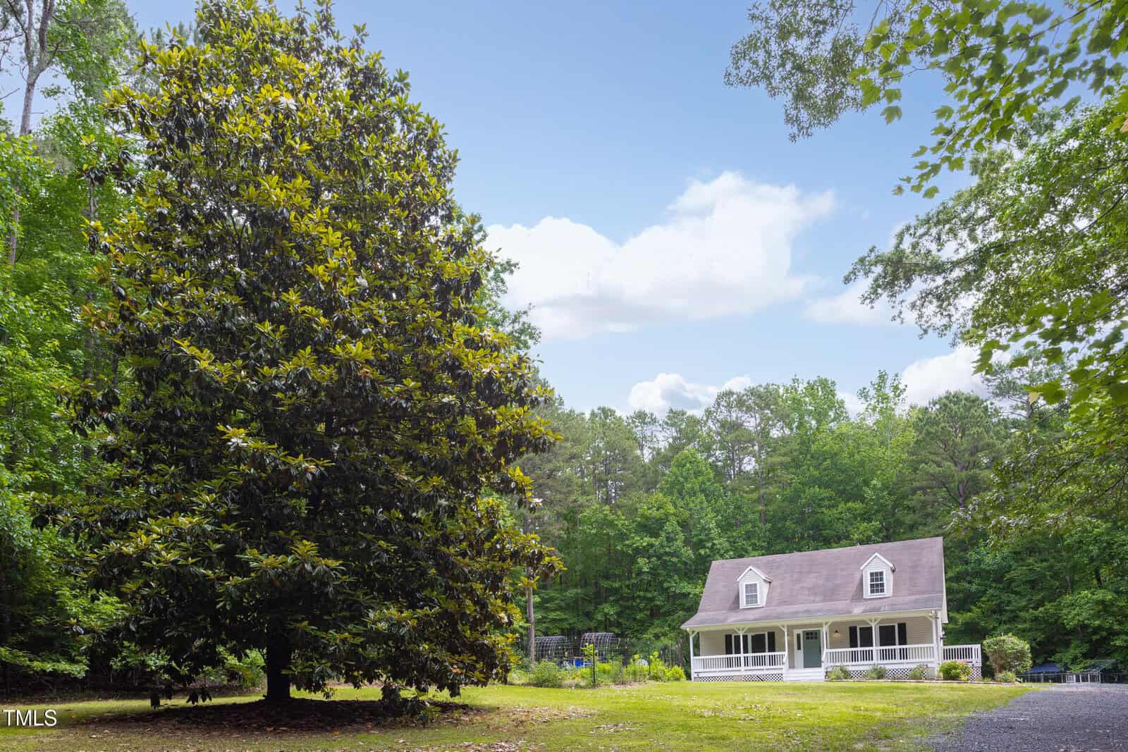 A small white house with a covered porch stands in a grassy clearing surrounded by trees. A large magnolia tree is to the left, and the sky is partly cloudy. The scene is bright and peaceful.