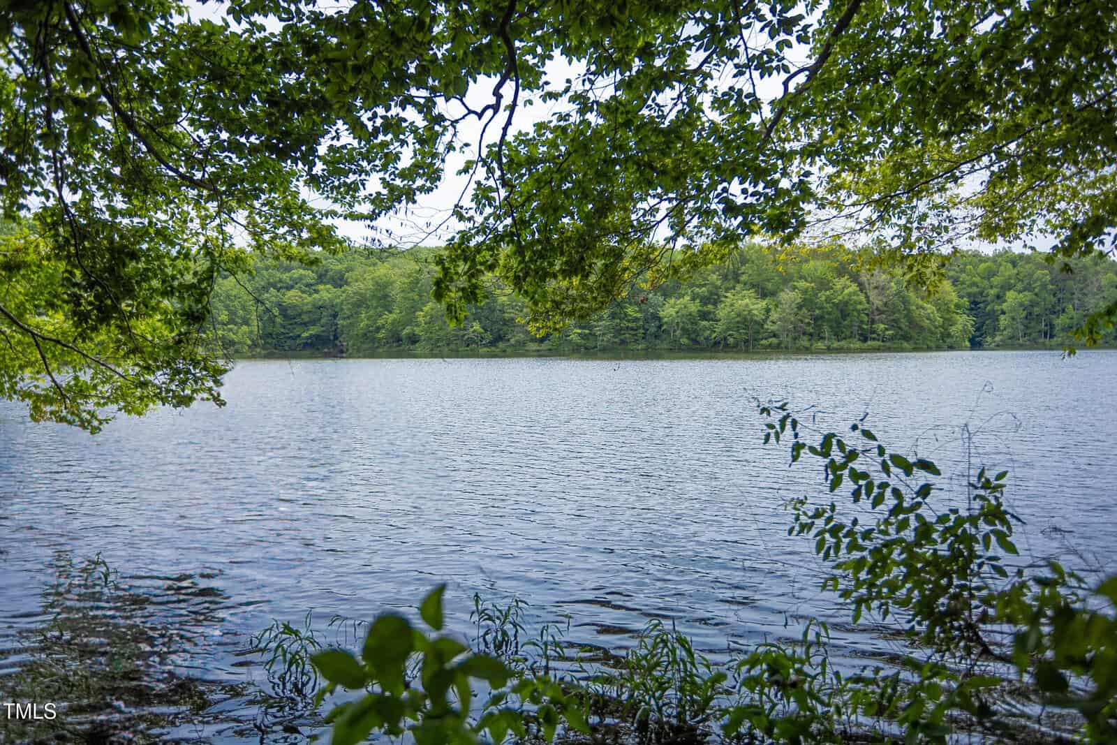 A calm lake is surrounded by green trees, with leafy branches framing the view in the foreground. The water is still, and the sky is partly visible through the leaves.