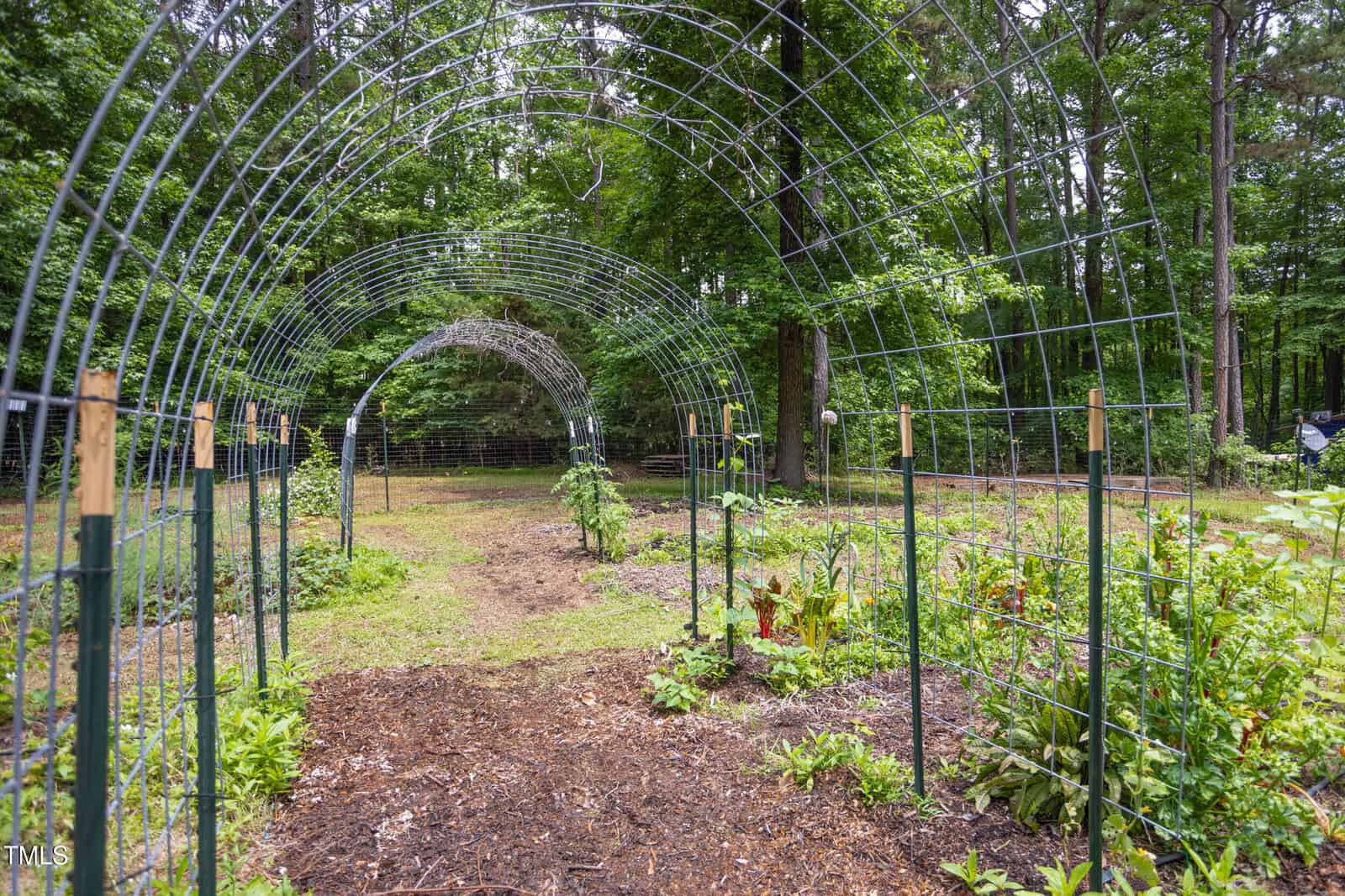 A garden with metal arched trellises supports growing plants. The ground is covered with mulch and bordered by green vegetation, surrounded by dense trees.