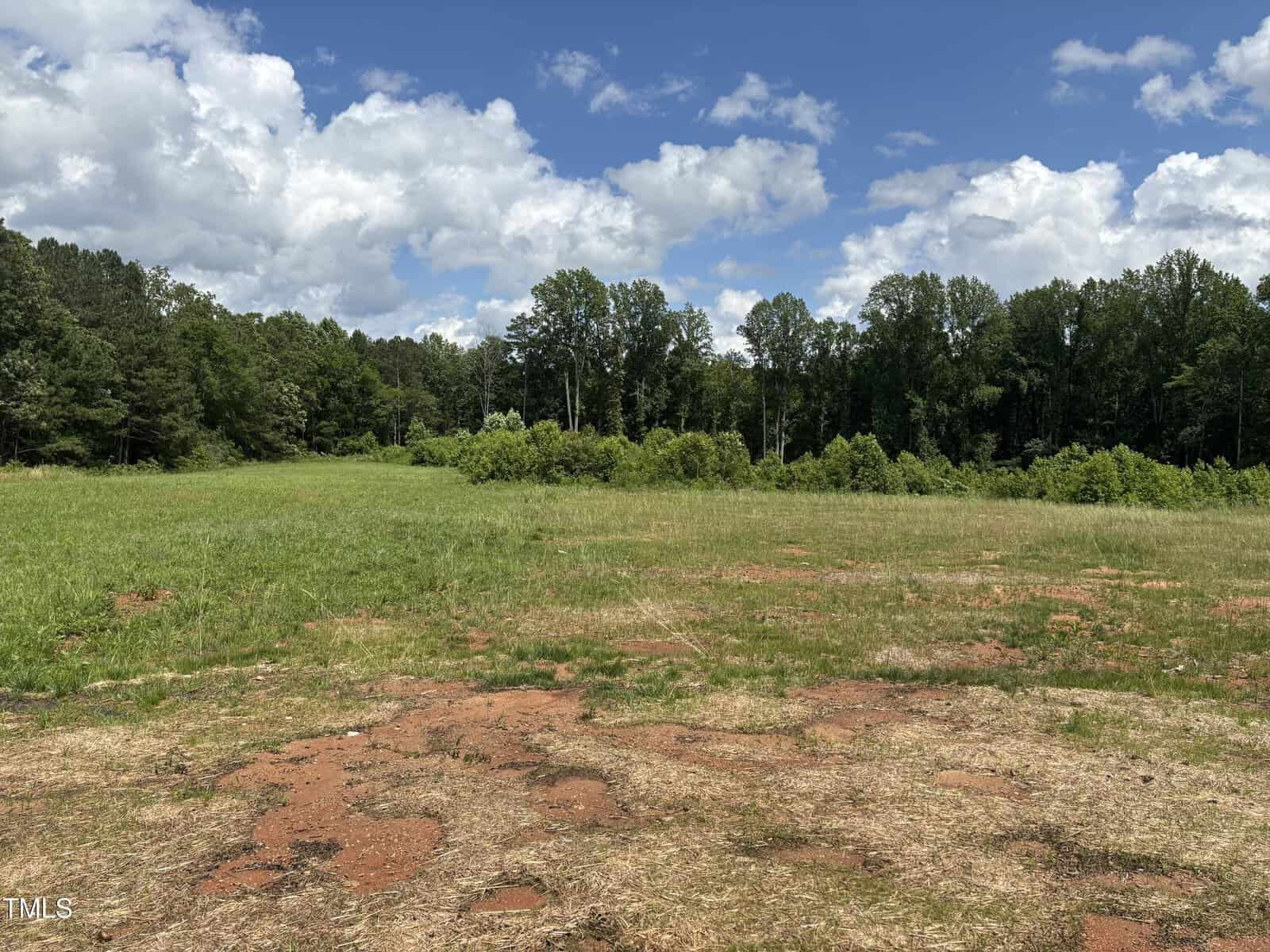 A grassy field with patches of bare reddish soil in the foreground, bordered by dense green trees under a partly cloudy blue sky.
