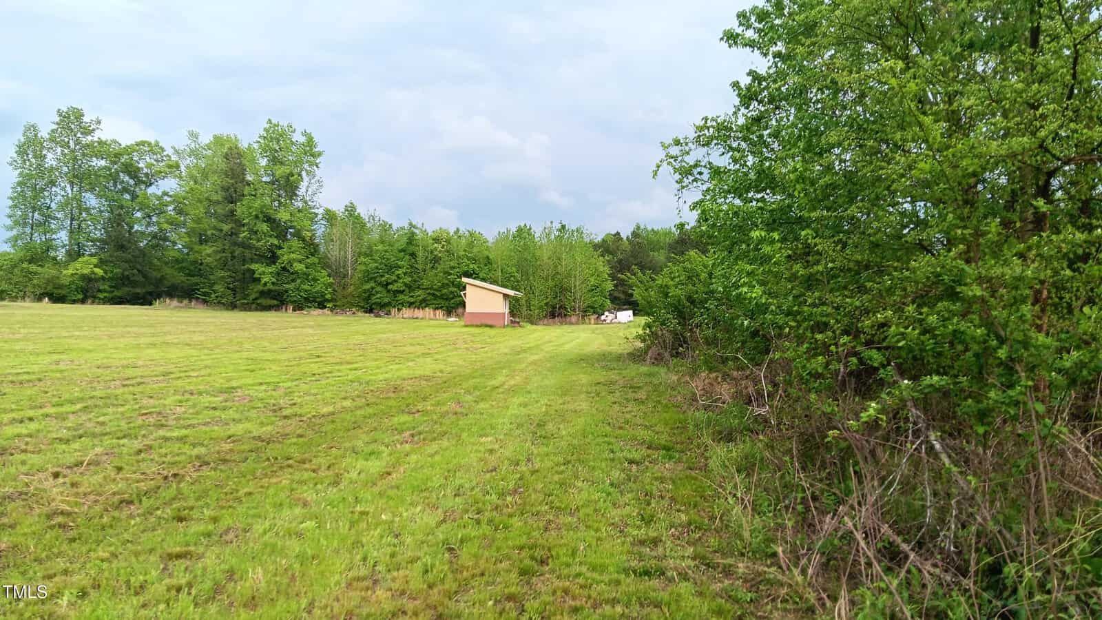 A small, light brown shed stands in a grassy clearing bordered by trees. The sky is mostly cloudy, and a patch of forest lines the right side of the image.