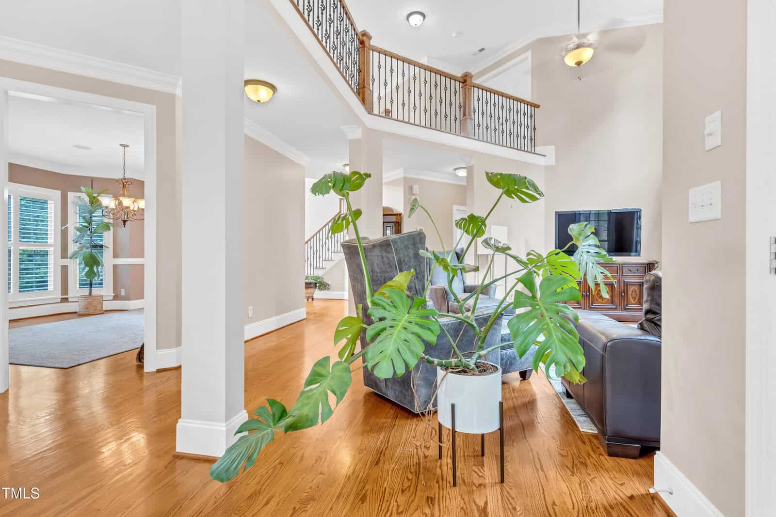 A living room with hardwood floors, a large potted monstera plant in the foreground, a gray armchair, a black sofa, a TV on a wooden stand, and a staircase with a decorative railing in the background.