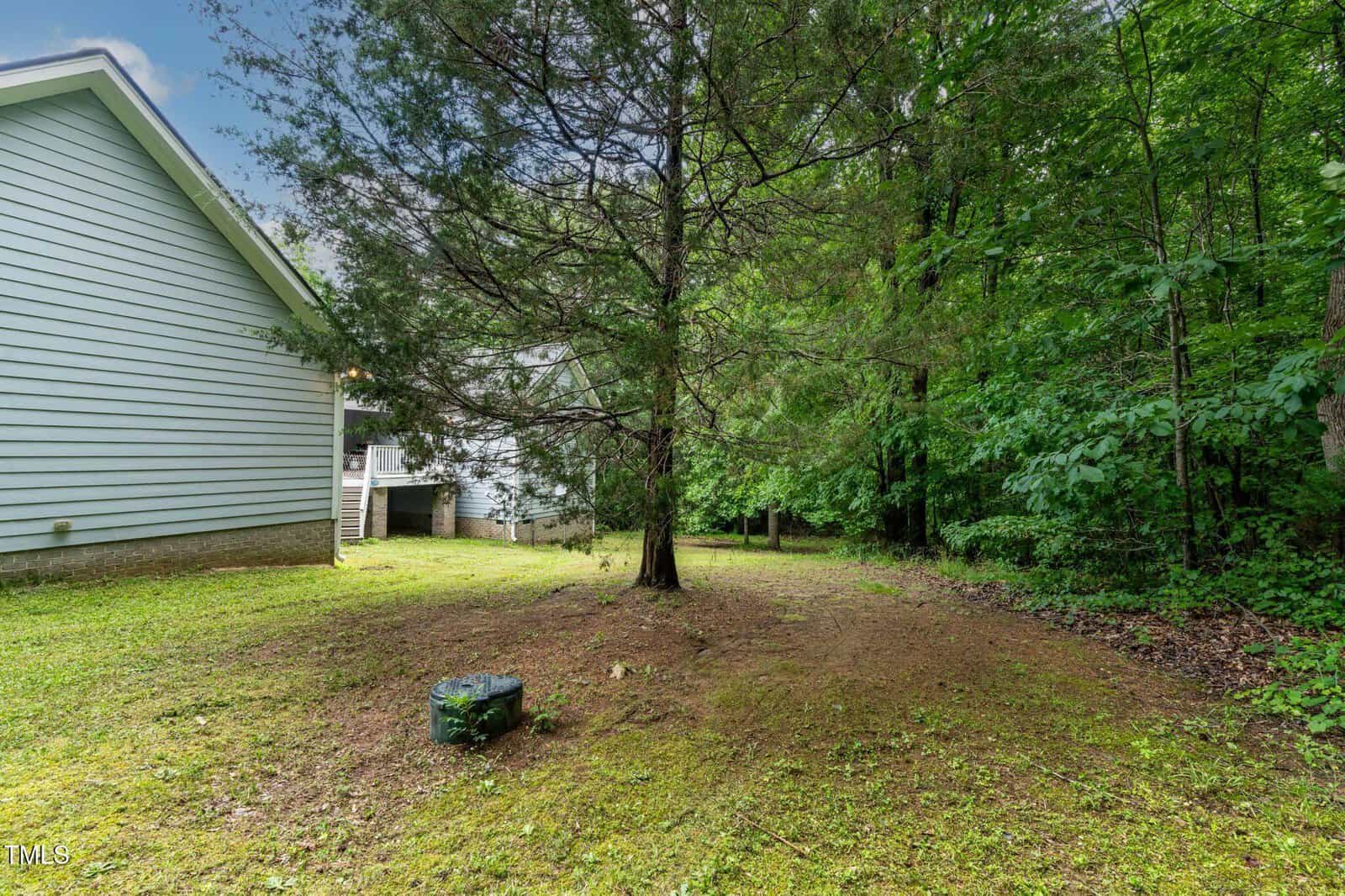 A grassy backyard with a large tree at the center, surrounded by dense green foliage. The side of a light blue house with white trim is visible on the left. A small moss-covered rock sits on the ground in the foreground.