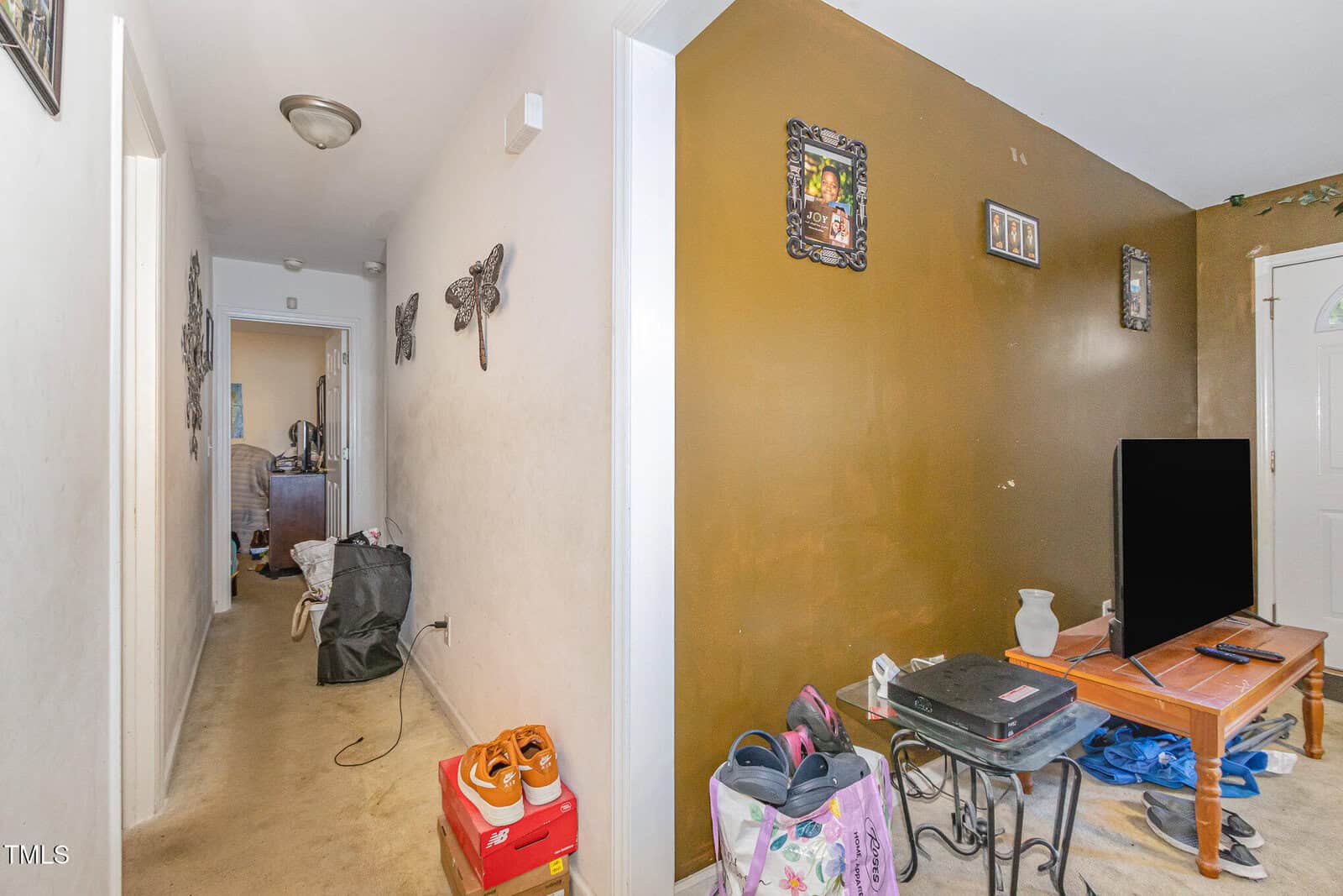 A hallway with beige carpet leads to a room with a brown accent wall. Shoes and personal items are on the floor, and a TV sits on a stand. Framed wall art decorates the walls. The space appears cluttered.