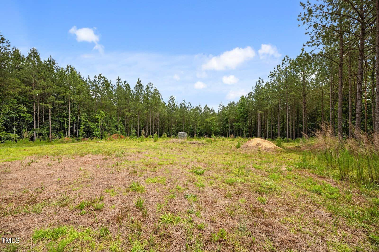 A cleared, grassy area surrounded by tall pine trees under a blue sky with scattered clouds; a mound of dirt and a small structure are visible in the distance.