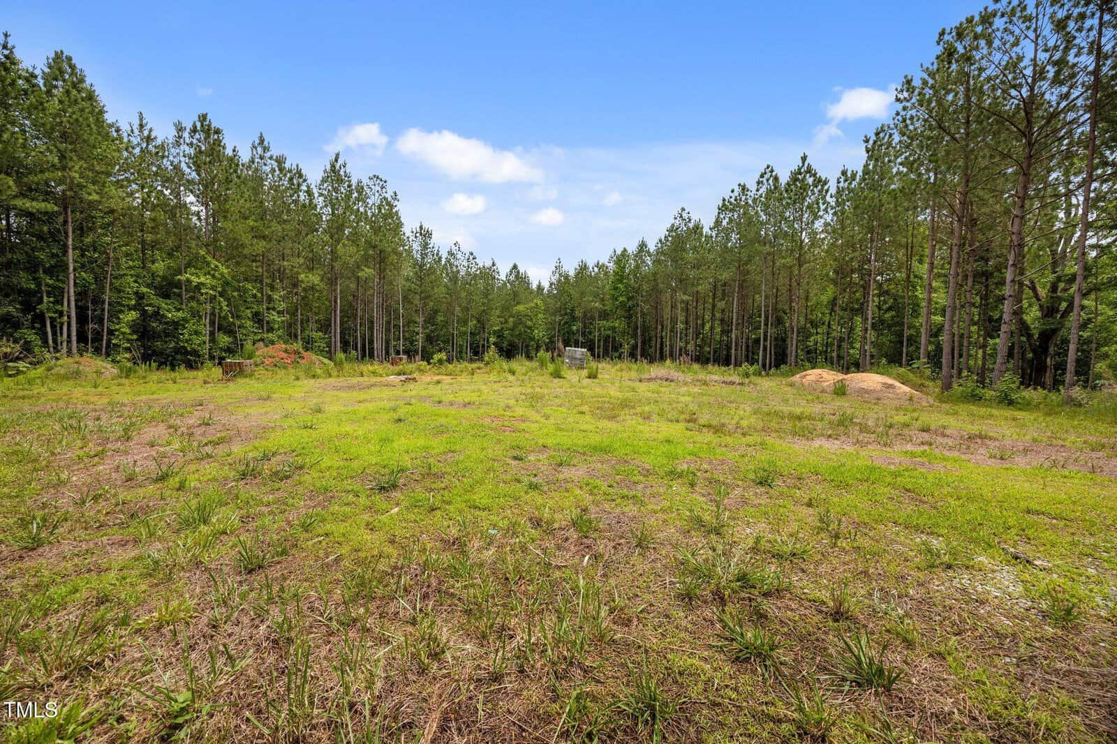 Cleared plot of land with sparse grass and patches of bare soil, surrounded by tall pine trees under a blue sky with scattered clouds. Some small mounds of dirt are visible to the right.