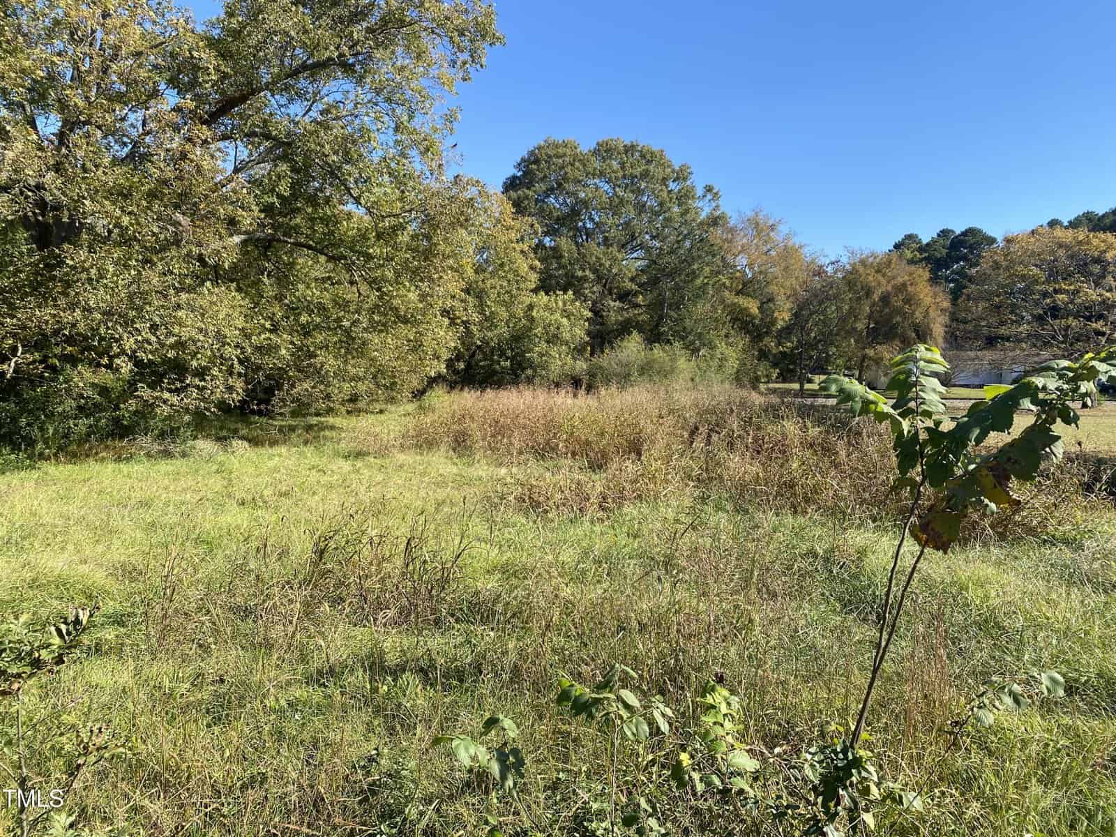 A grassy field with tall weeds and scattered trees under a clear blue sky. Dense foliage lines the background, and sunlight brightens the area.
