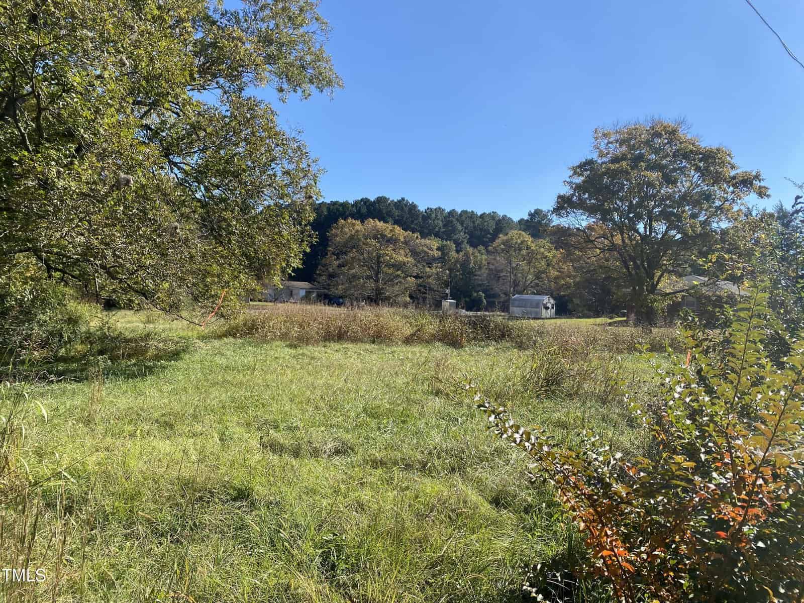 A grassy field with tall weeds and bushes in the foreground, trees with autumn foliage, and several houses in the distance under a clear blue sky.