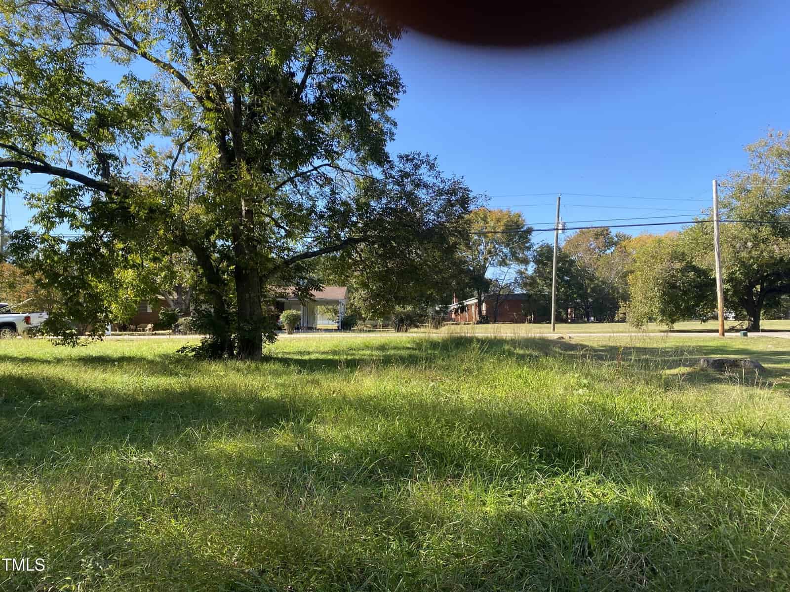 A grassy lawn with tall green grass, several trees, and houses in the background. Power lines cross the blue sky, and a dark finger or object partially covers the top of the image.