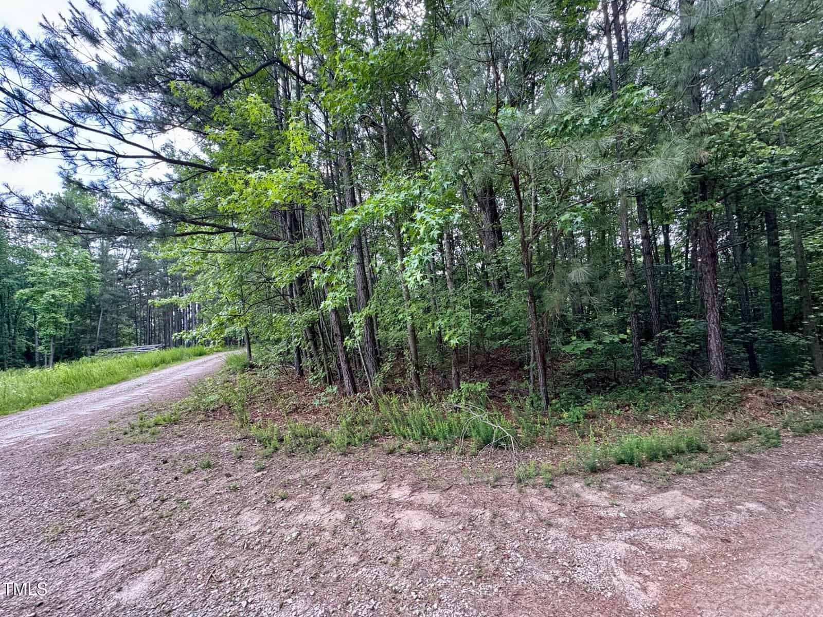 A dirt road curves through a wooded area with dense green trees and undergrowth on both sides. The sky is partly visible through the branches. The ground is covered with gravel and patches of grass.
