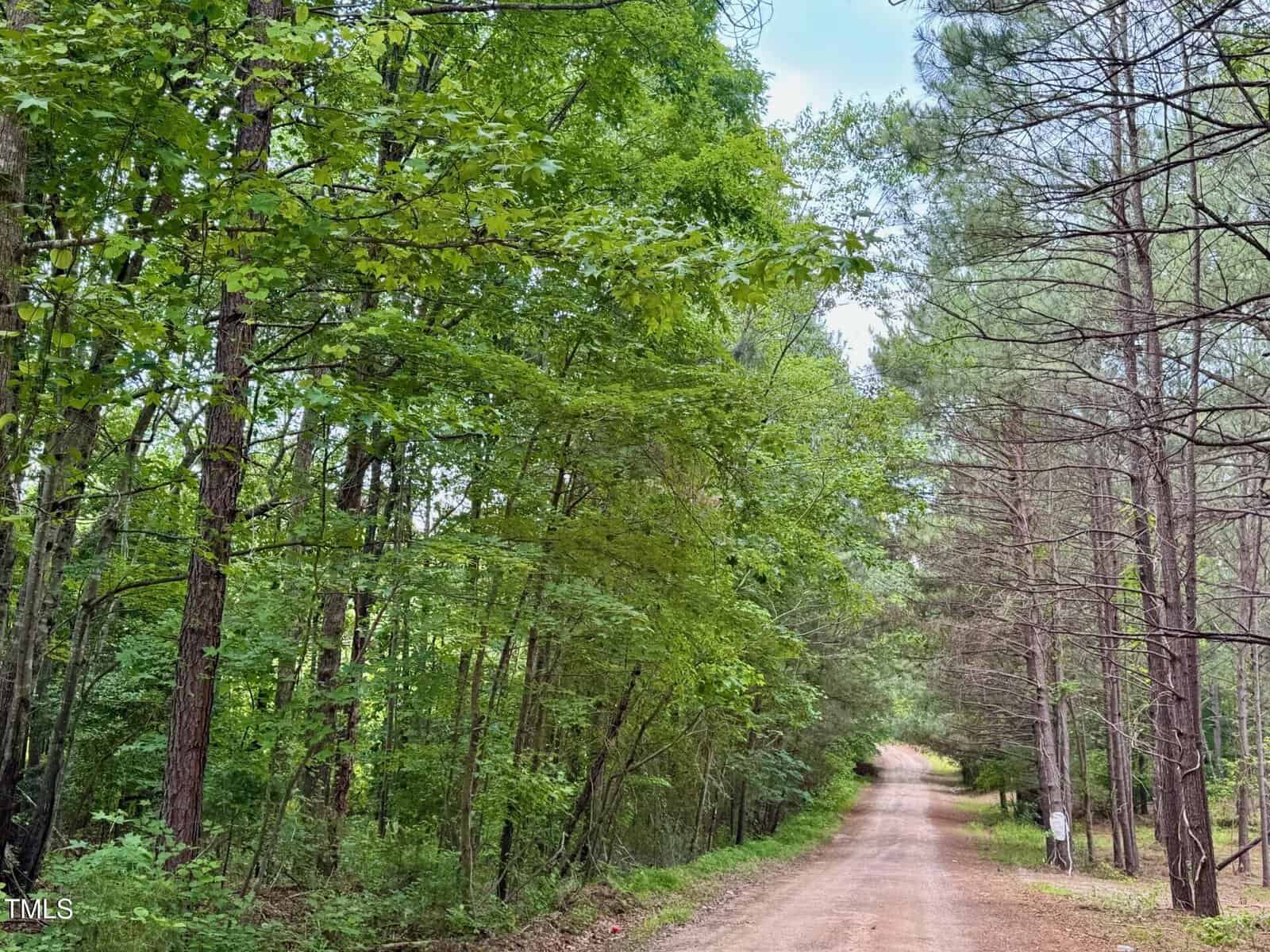 A dirt road runs through a forest with tall green trees on both sides under a partly cloudy sky. The road curves slightly to the right in the distance.