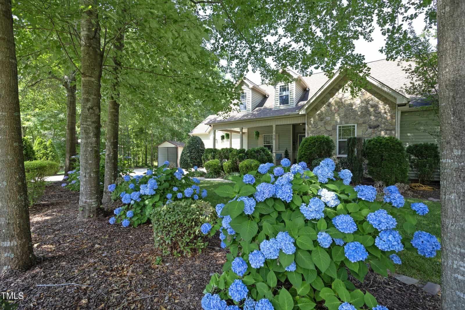A house with stone and siding exterior sits behind lush landscaping, including blooming blue hydrangeas, trimmed bushes, green grass, and tall shade trees. A small shed is visible in the background.