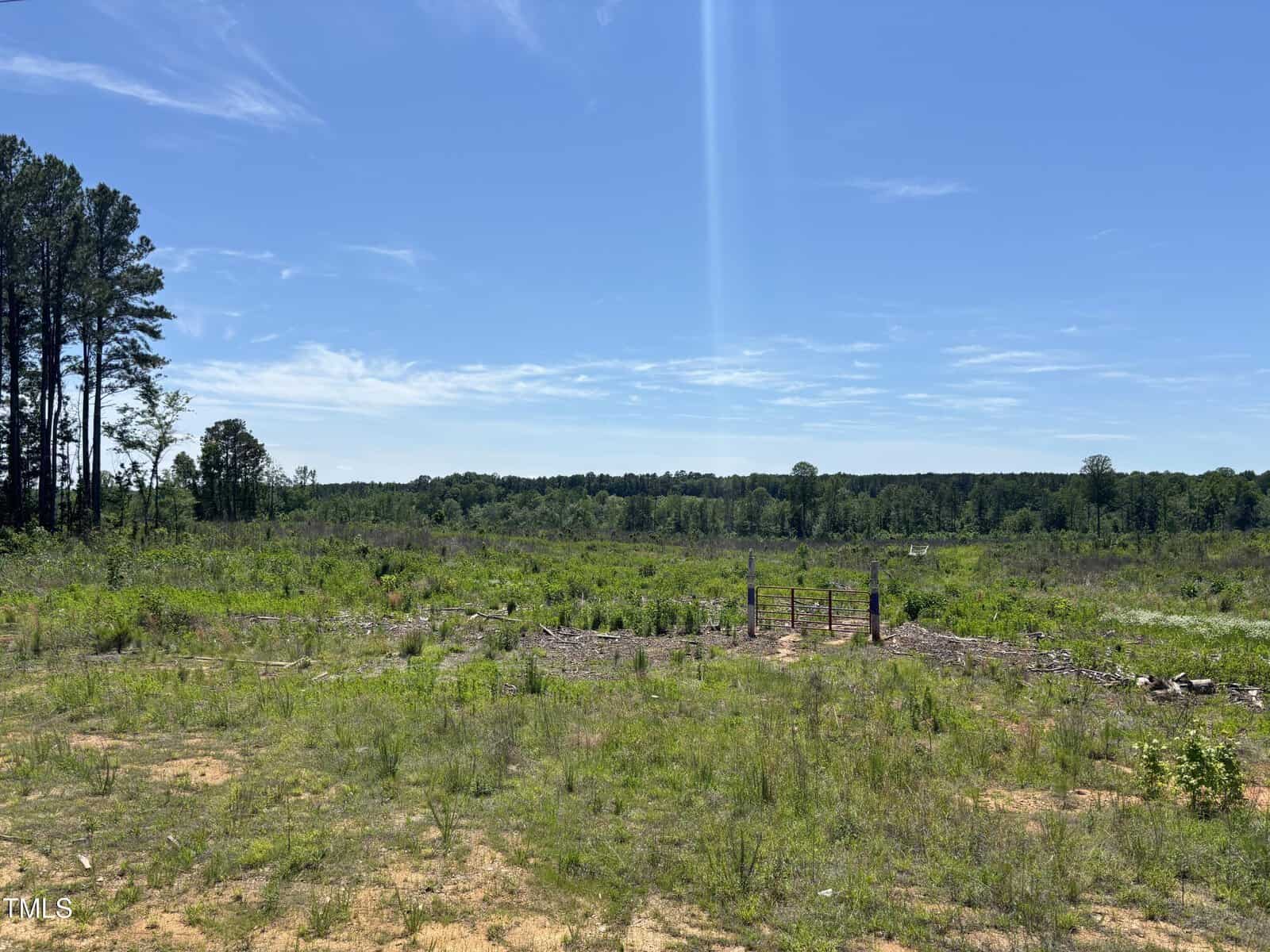 A cleared, grassy field with sparse young vegetation, bordered by distant trees under a blue sky. A small wooden structure or gate stands in the middle right area of the image.