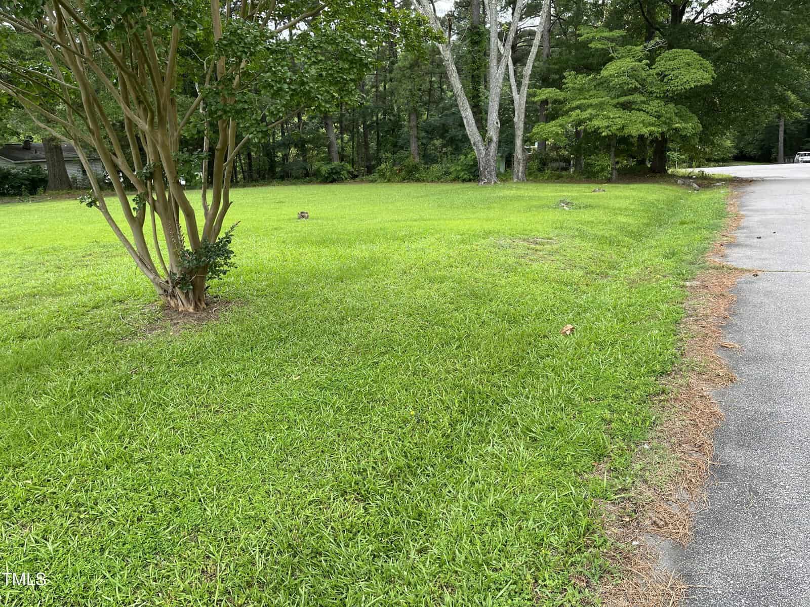 A grassy yard with a tree on the left, bordered by 00 Montgomery Road on the right. The background includes more trees and a wooded area near Henderson, with some pine straw along the edge of the road.