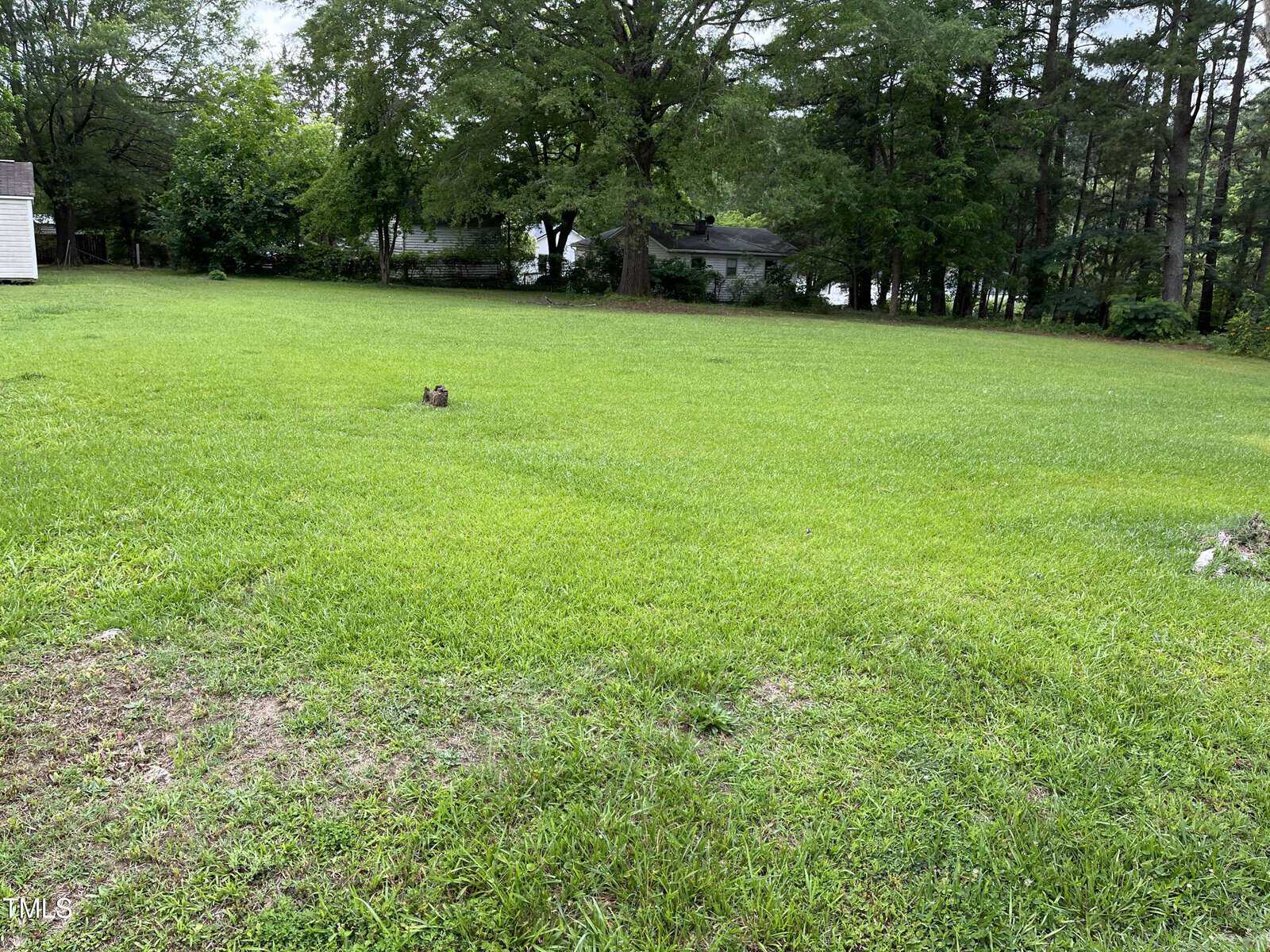 A grassy yard with a few small patches of bare ground, surrounded by trees. A house is visible in the background, partially obscured by foliage. The sky appears overcast.