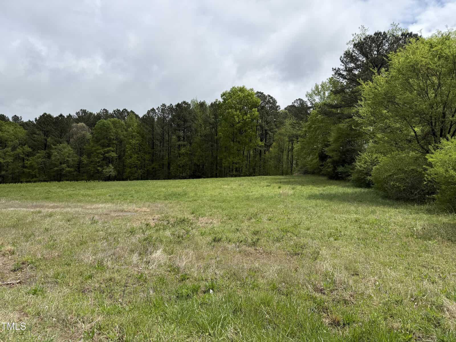 A grassy field with sparse greenery stretches toward a dense tree line under a cloudy sky. Bushes and tall trees border the right side, and the horizon is lined with forest.