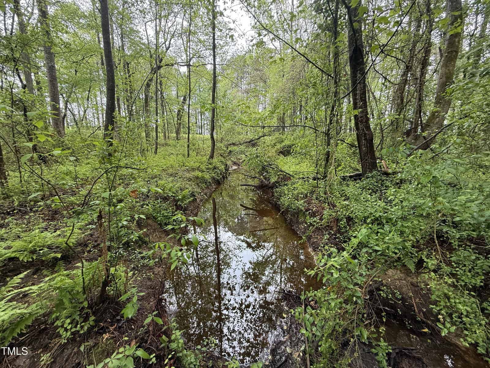 A narrow creek runs through a dense, green forest with trees and undergrowth on both sides. The water reflects the surrounding vegetation and sky. The scene appears natural and undisturbed.