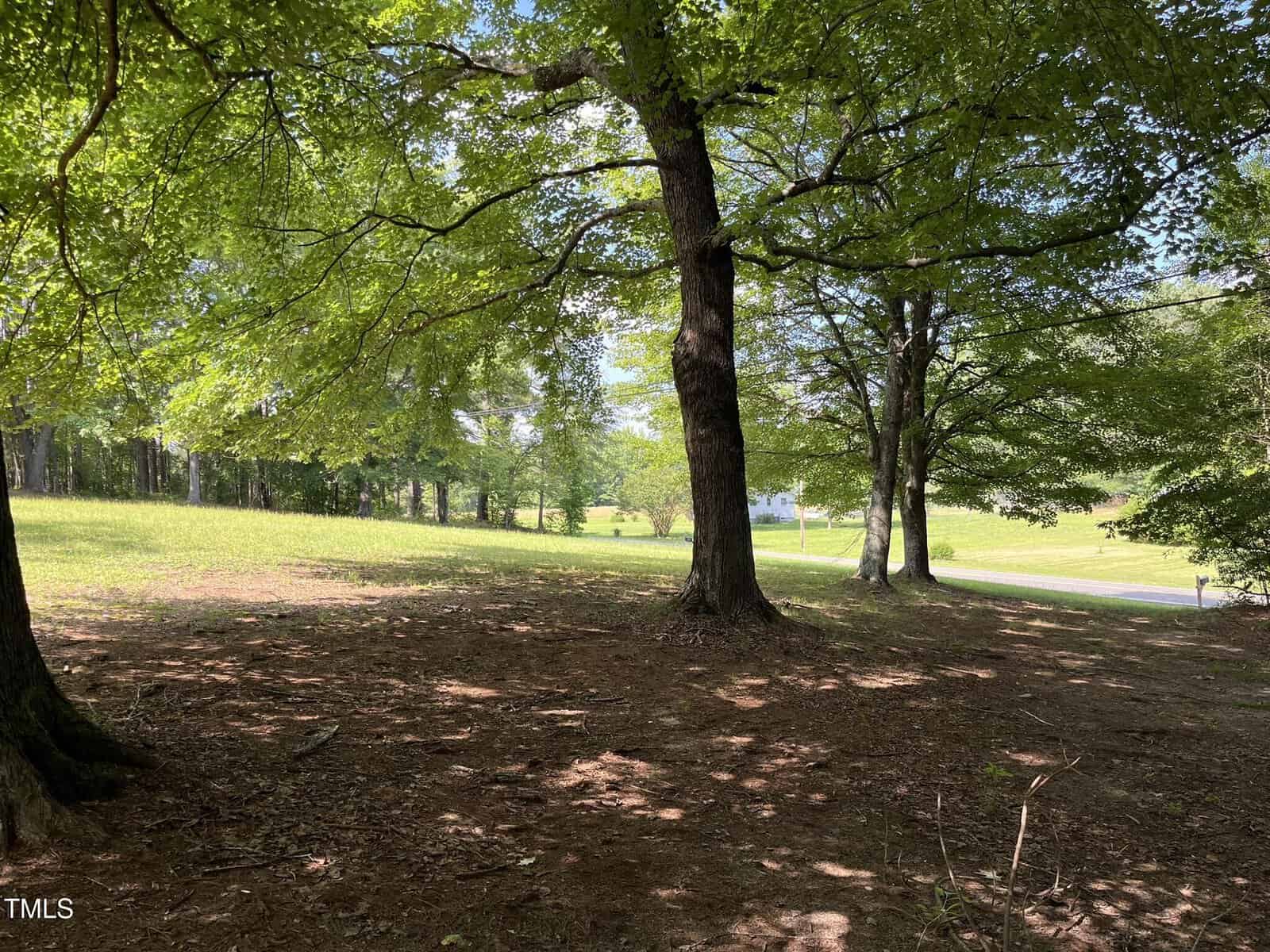 A shaded area with large trees in the foreground, looking out onto a sunlit grassy field with more trees and a small road in the background under a partly cloudy sky.
