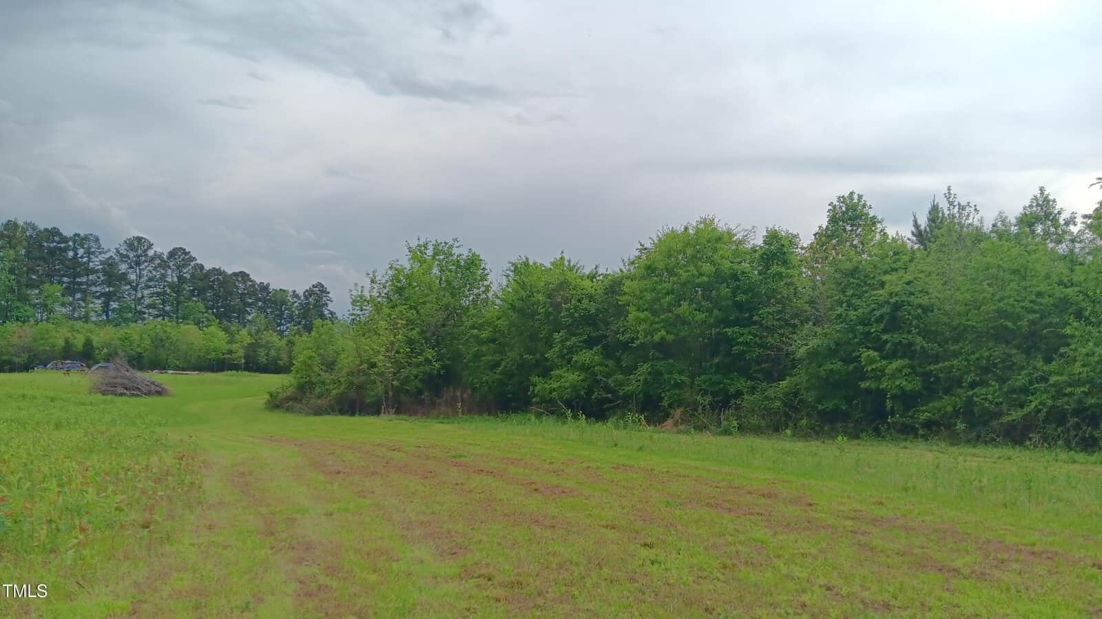 An open grassy field bordered by dense green trees under a cloudy sky. A small pile of branches and several cars are visible in the distance near the treeline on the left side.