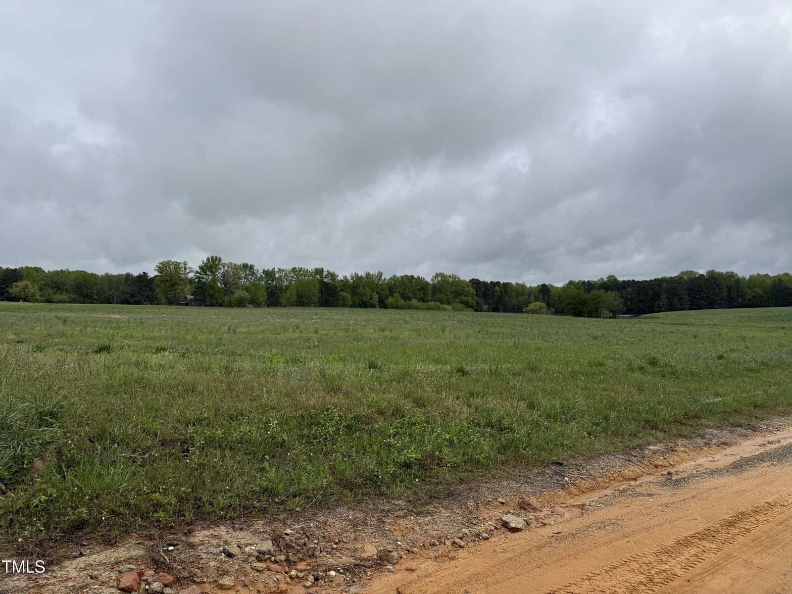 A cloudy sky hangs over a wide, open grassy field bordered by a line of green trees in the distance. In the foreground is a reddish dirt road running along the edge of the field.