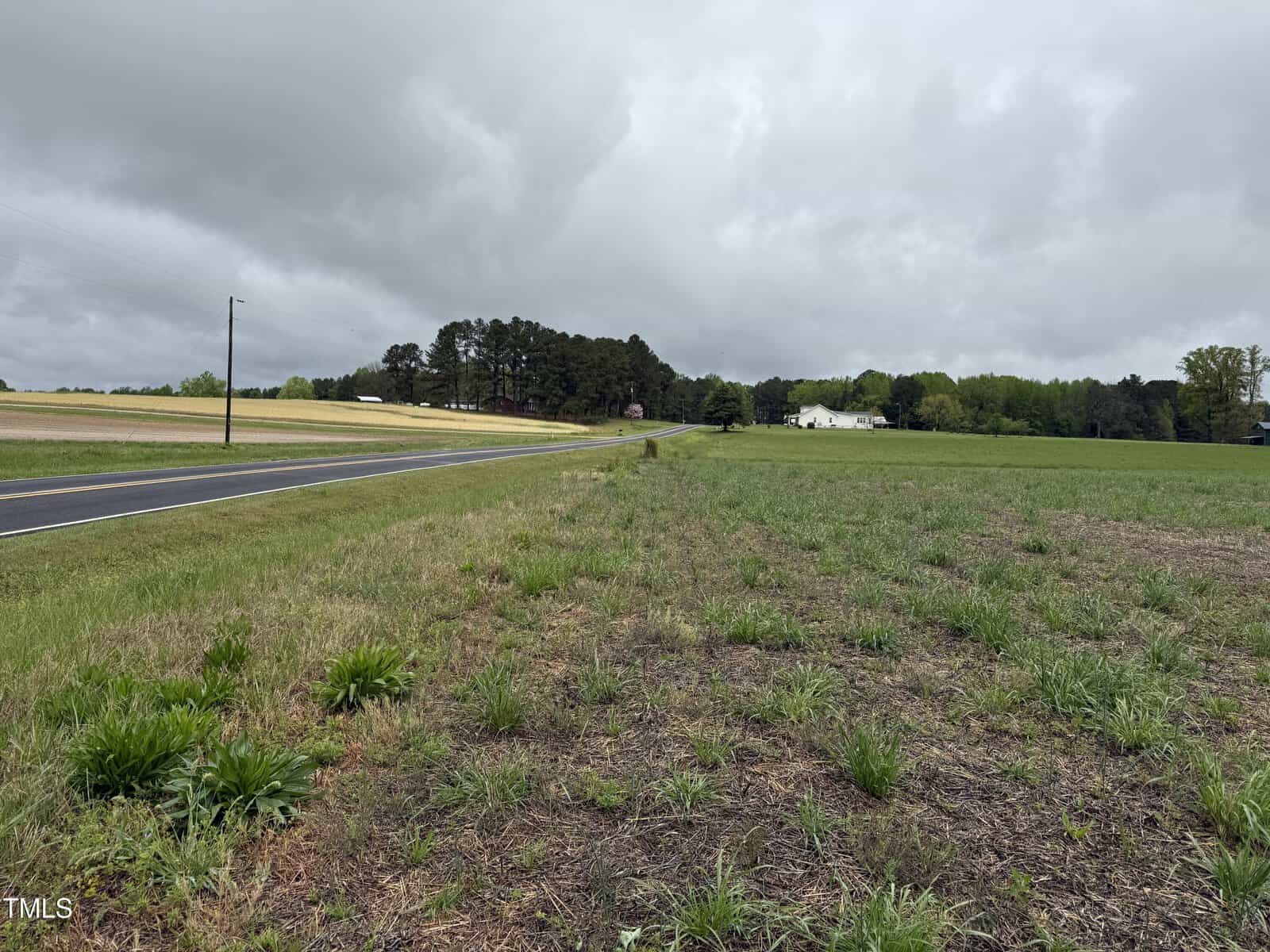 A rural landscape with a paved road on the left, grassy fields on both sides, and a cluster of trees and houses in the distance under a cloudy, overcast sky.