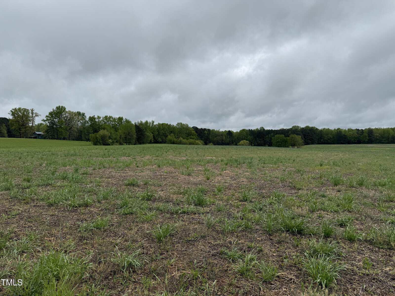 A large open field with sparse grass and patches of bare soil under a cloudy, overcast sky. Dense green trees line the horizon in the background.