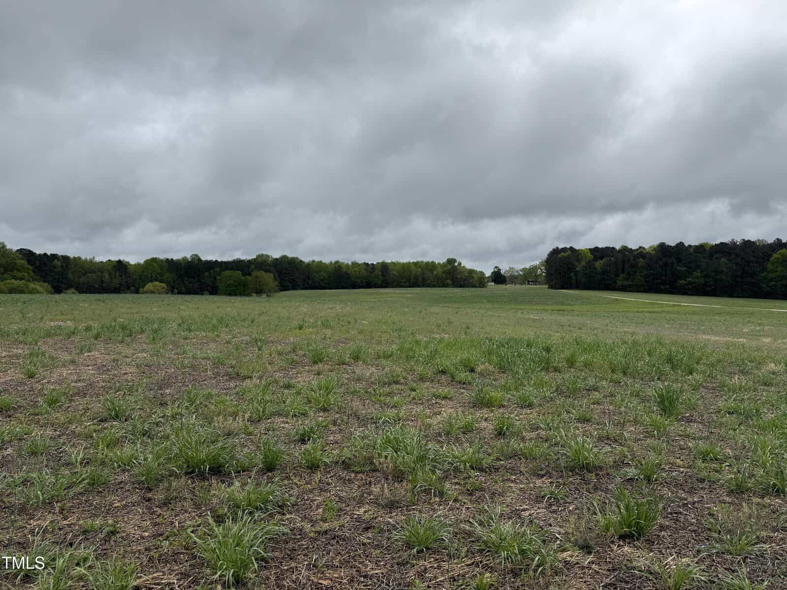 A large field of grass with trees in the background.