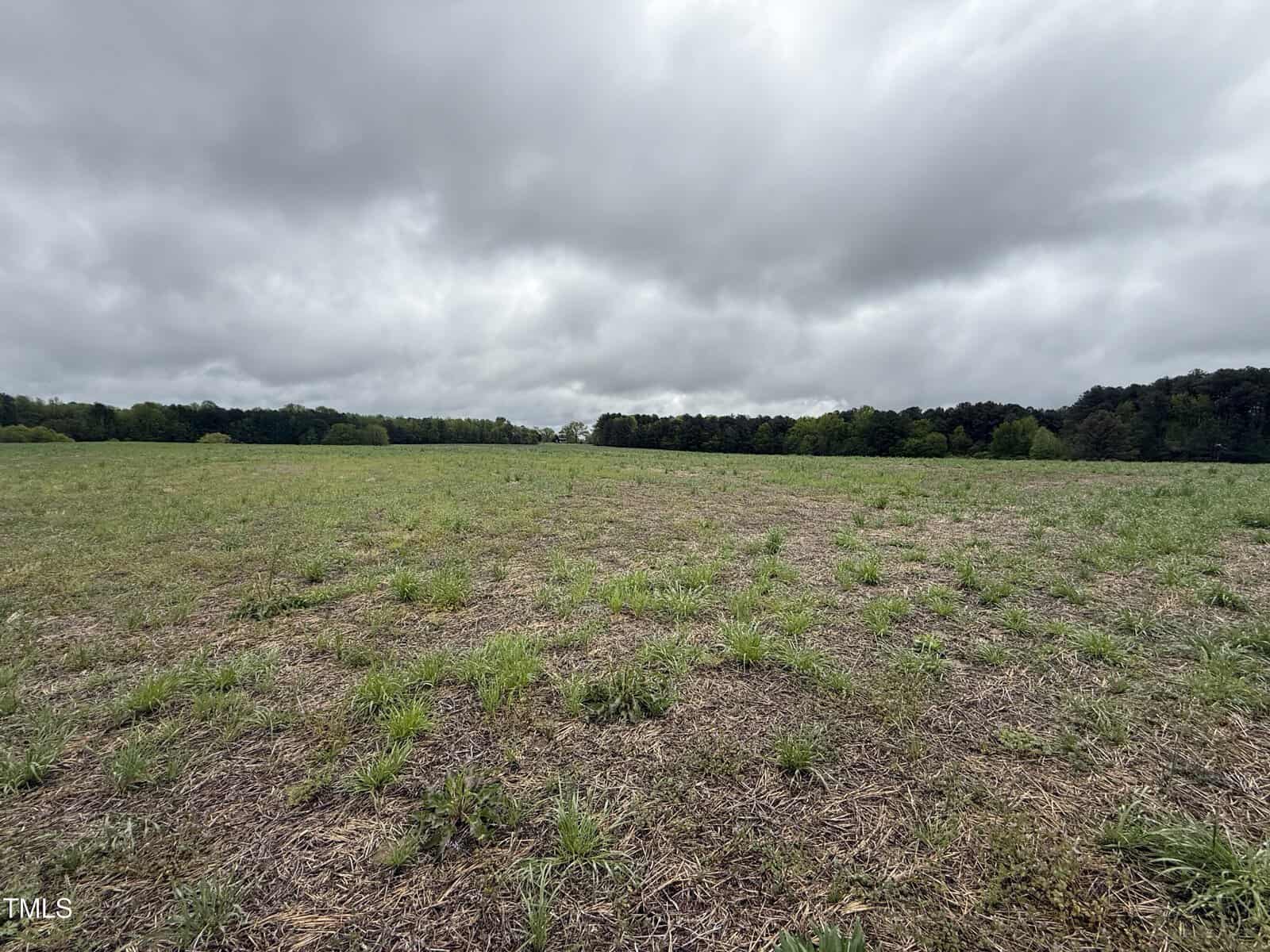 A wide, open field with patches of green grass and bare soil under a cloudy, overcast sky. A line of trees is visible along the distant edge of the field.