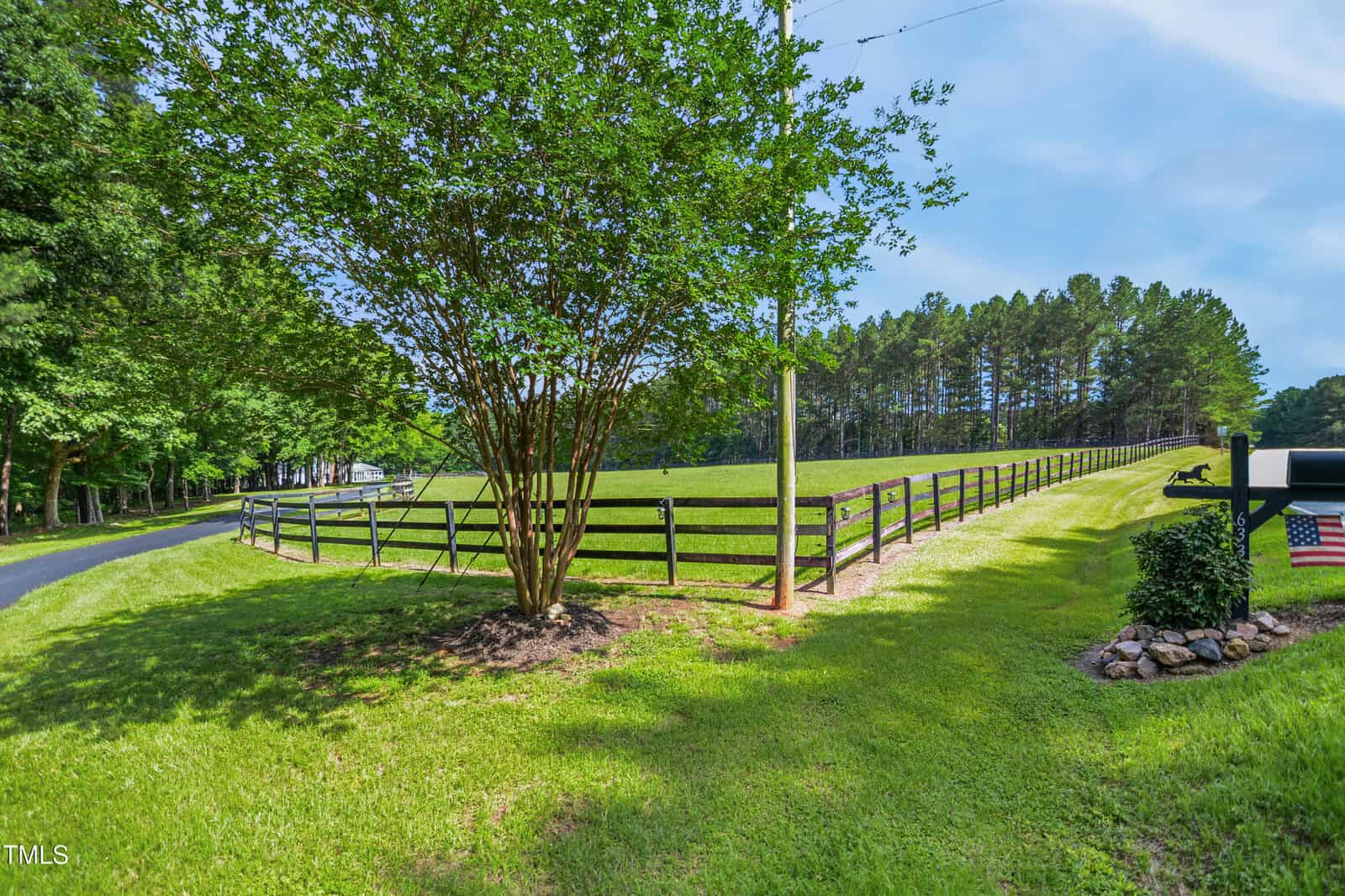 A tree stands at the corner of a fenced pasture near a paved driveway. Green grass covers the ground, and tall pine trees line the background under a partly cloudy sky.
