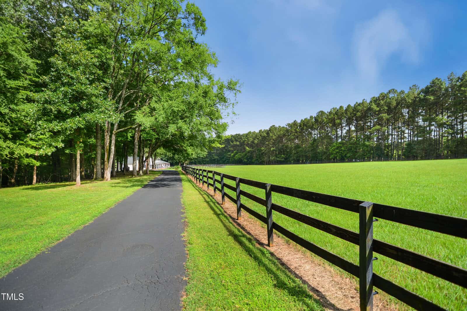 A paved driveway lined with tall trees on one side and a black wooden fence bordering a green field on the other, leading toward a distant building under a clear blue sky.