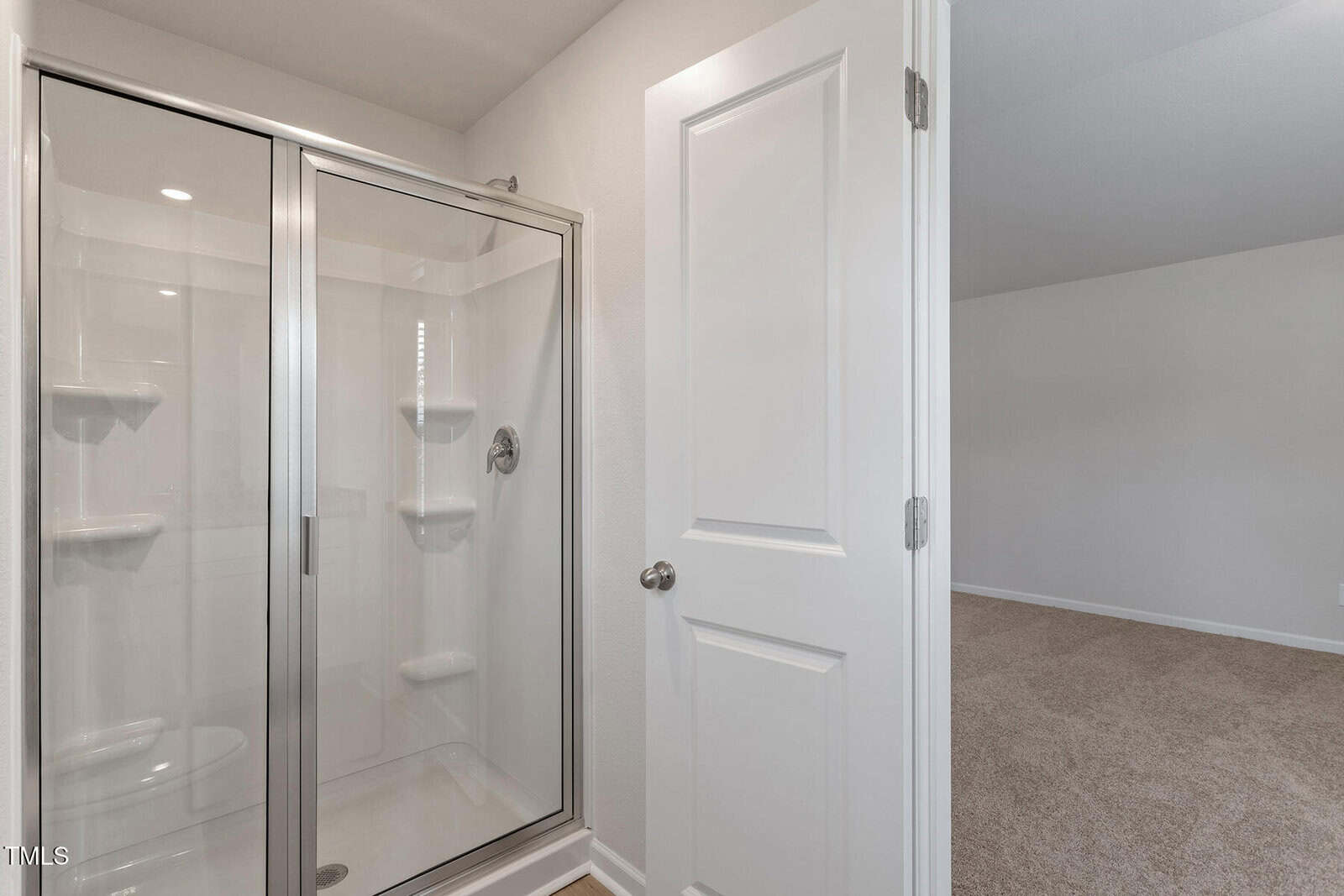 A bathroom with a glass-enclosed shower featuring built-in shelves, next to a closed white door, with a view of a carpeted room beyond.