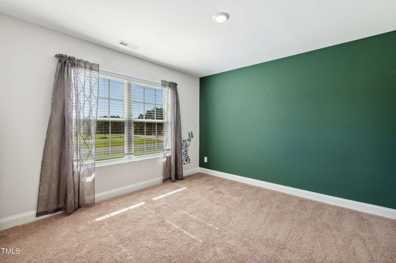 Empty room with beige carpet, white trim, and a green accent wall. A window with sheer gray curtains lets in natural light. A partial zebra decal is visible on one wall.