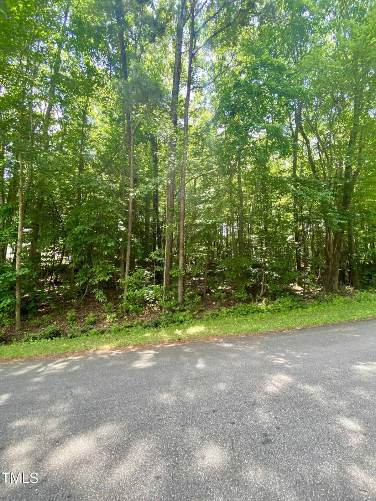 A paved road runs alongside a dense forest with tall trees and thick green foliage. Sunlight filters through the tree canopy, casting dappled shadows on the road and the forest floor.
