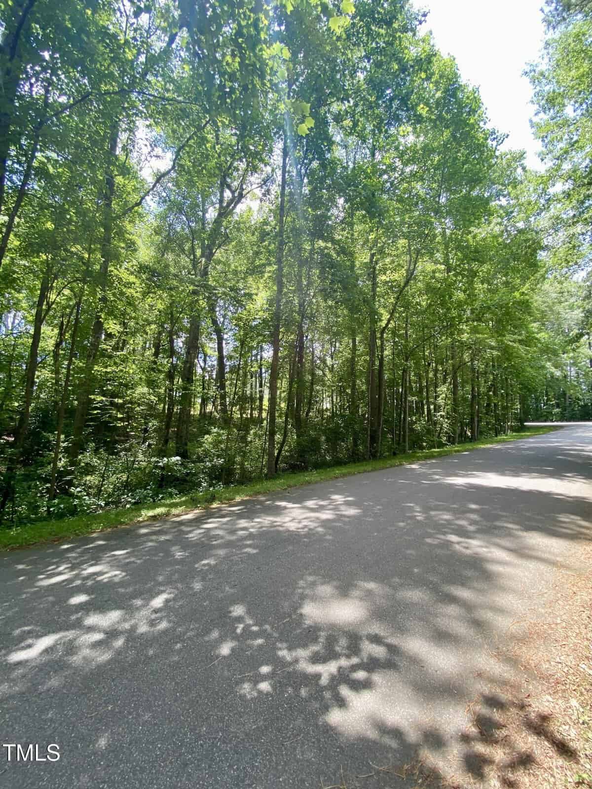 A quiet, paved road runs alongside a dense, green forest with sunlight filtering through the tall trees, creating leafy shadows on the road.