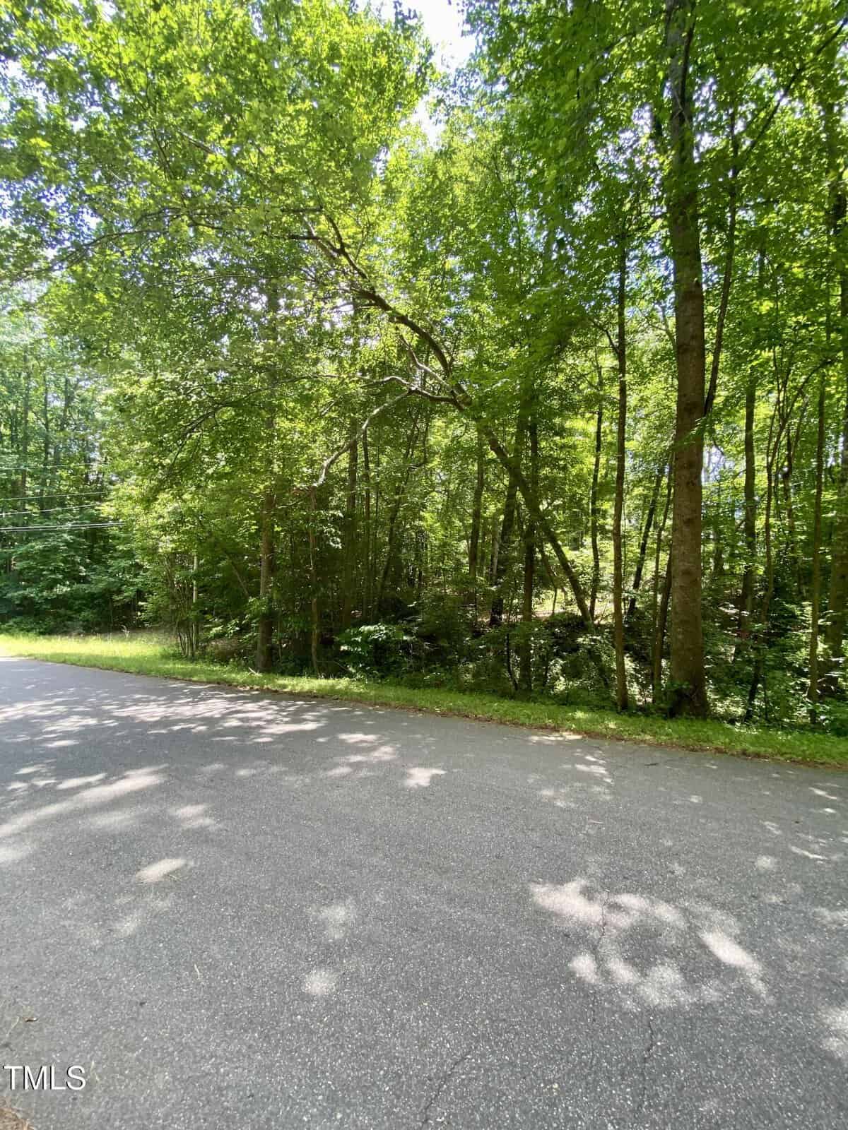 A paved road curves beside a dense, sunlit forest with tall green trees and dappled shadows on the ground. The scene appears peaceful and natural.