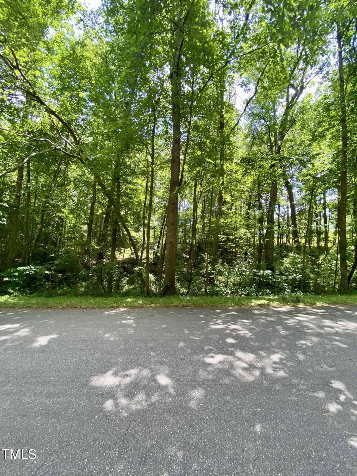 A paved road runs alongside a dense forest with tall, leafy green trees. Sunlight filters through the branches, casting dappled shadows on the road and ground. The scene is calm and natural.