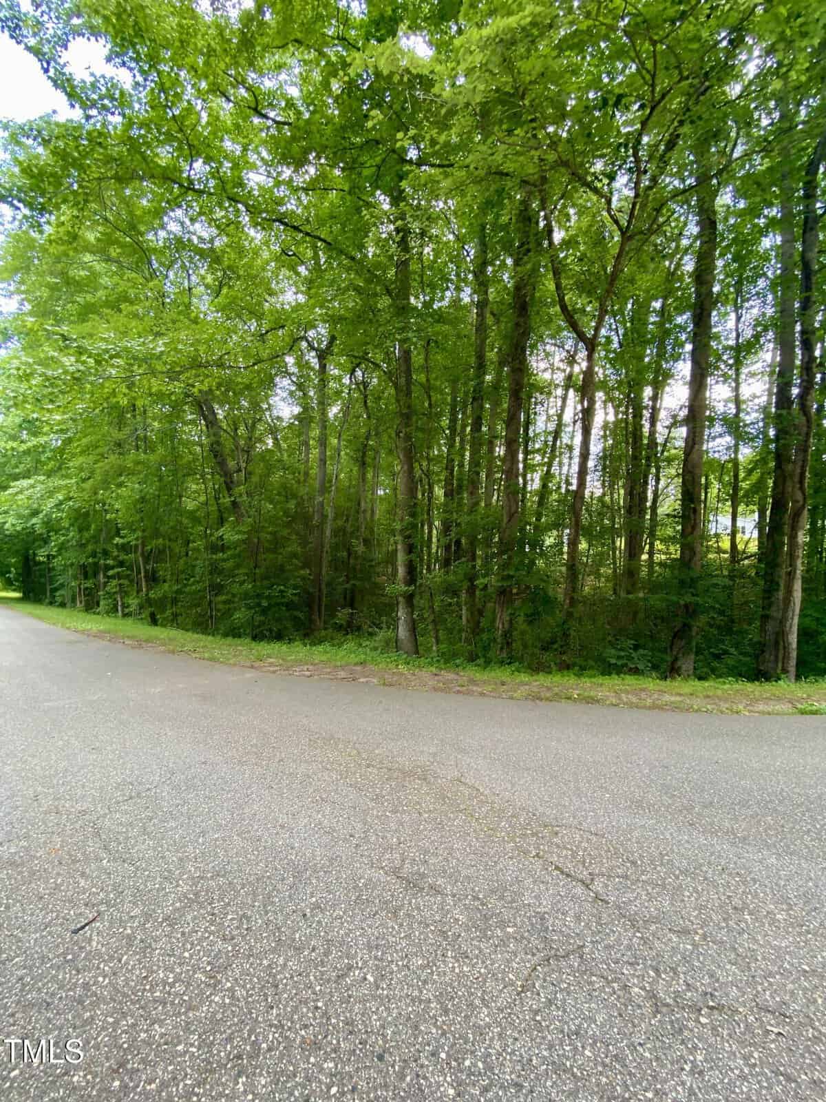 A paved road curves next to a dense forest with tall green trees and lush foliage. The sky is mostly obscured by the tree canopy.