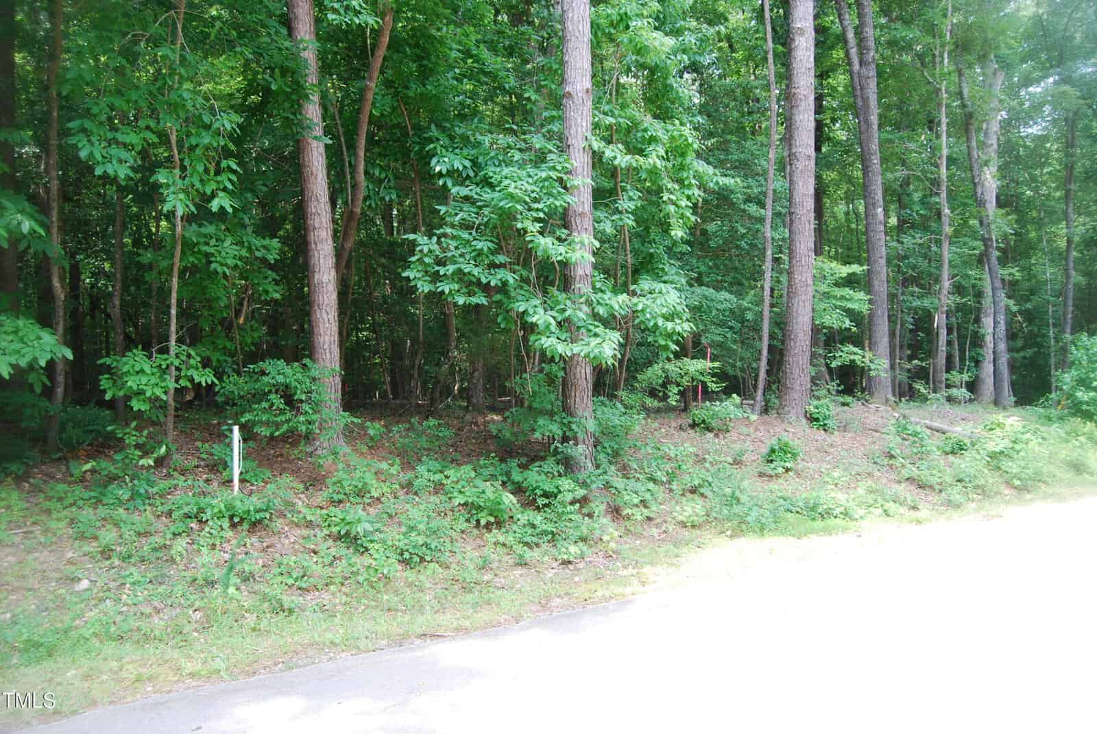 A shaded, wooded area with tall trees and dense green foliage next to a sunlit, paved road. A small green marker is visible near the edge of the forest floor.