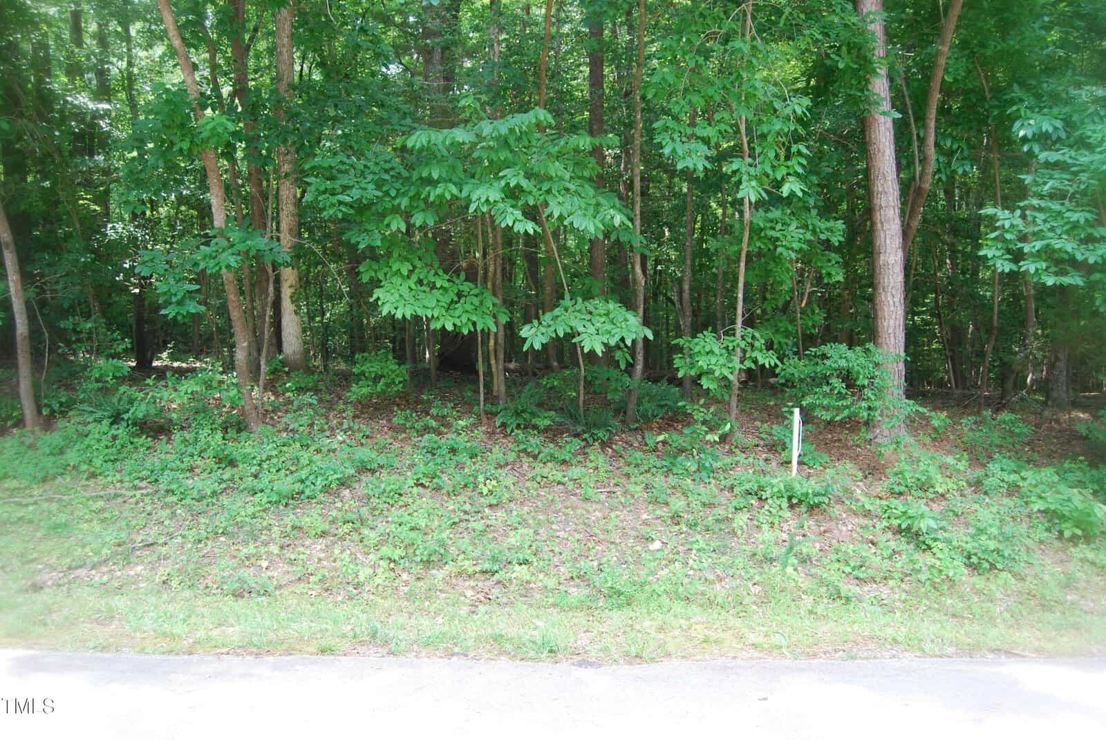 A dense wooded area with green trees and undergrowth, viewed from the edge of a paved road. A small green utility marker is visible near the right side of the forest floor.