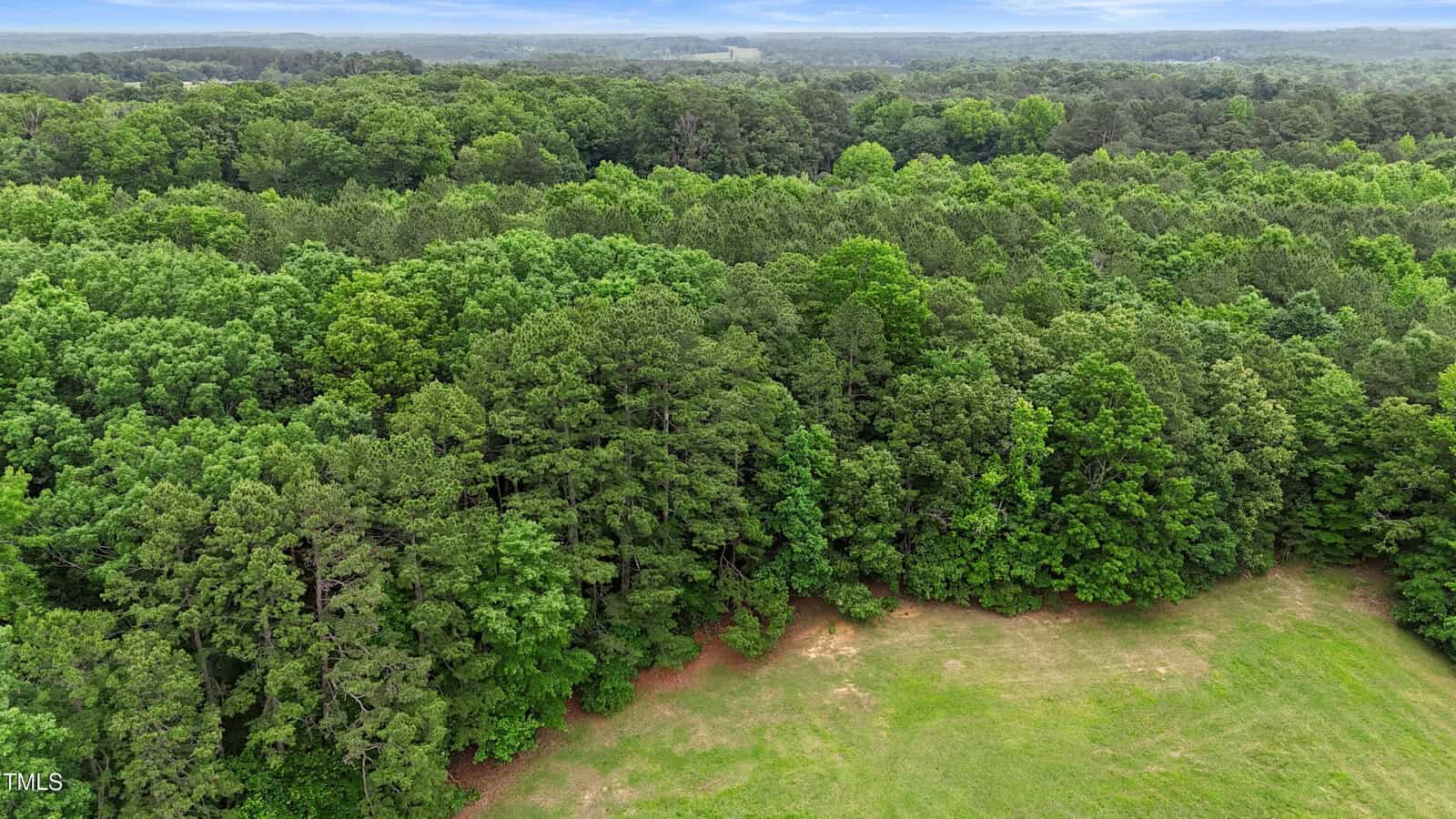 Aerial view of a dense, green forest bordering a grassy clearing under a cloudy sky, with rolling hills visible in the distant background.