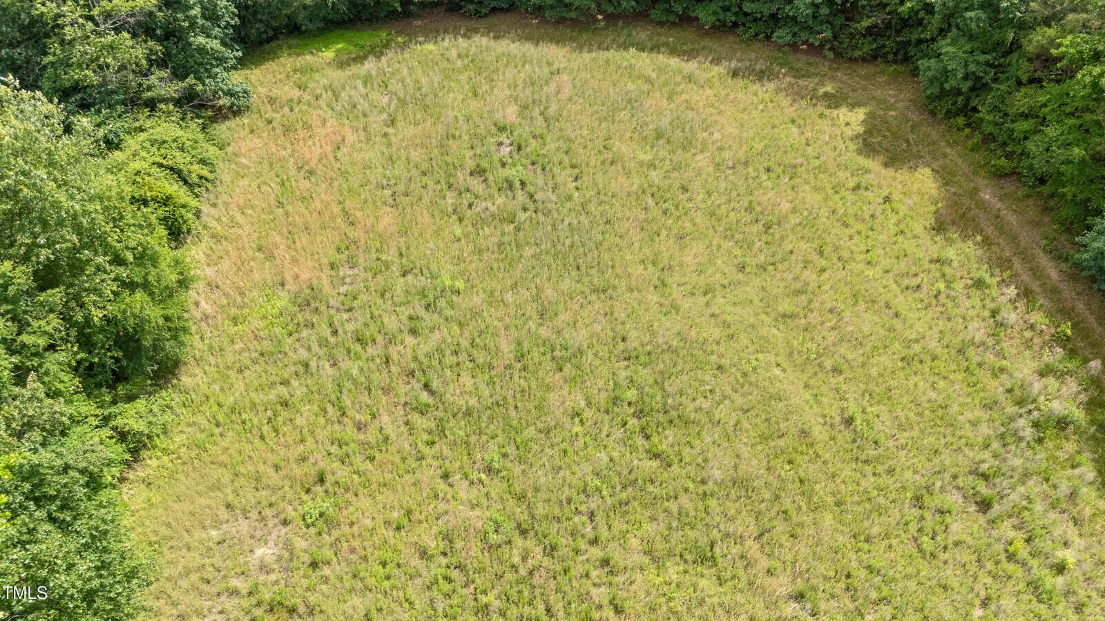 Aerial view of an open grassy field surrounded by dense green trees. The grass is patchy and slightly overgrown, and the area has an irregular oval shape with a clear border of foliage.