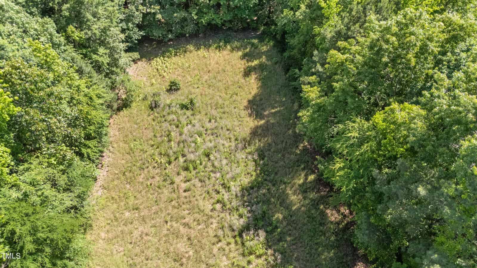 Aerial view of a grassy clearing surrounded by dense green trees, with a mix of sunlight and shade across the area. The ground appears uneven with some sparse vegetation.
