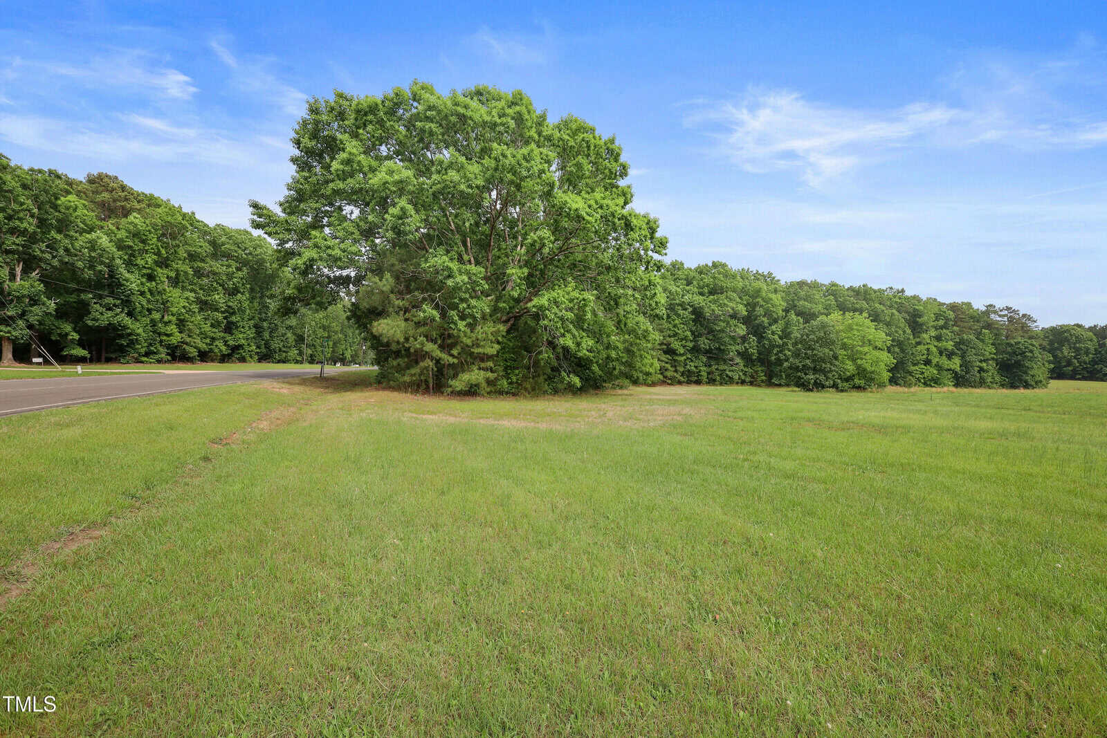 A wide grassy field bordered by trees under a blue sky with light clouds. A paved road runs along the left side of the image, and a large tree stands near the road.