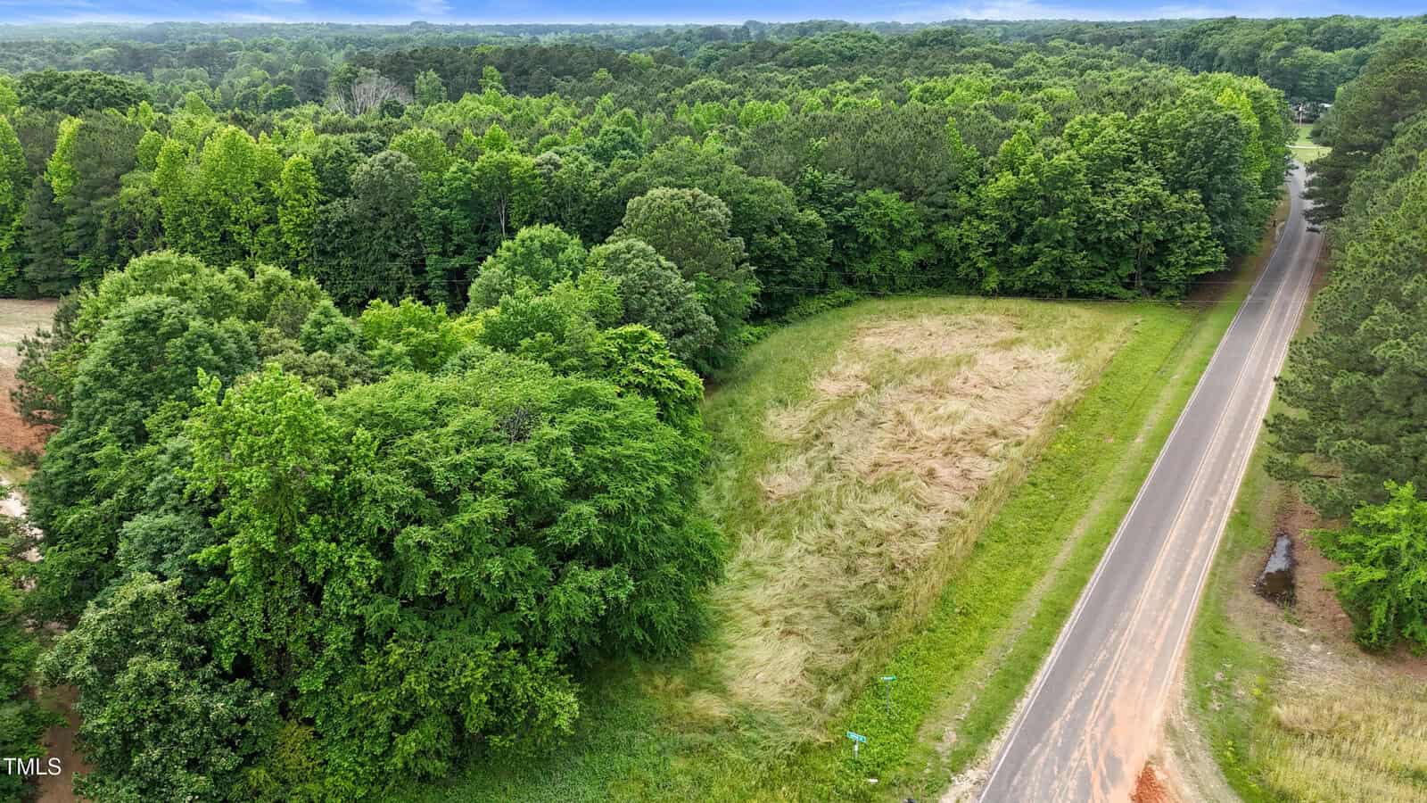 A paved two-lane road runs alongside a grassy, partially cleared area bordered by dense green trees under a cloudy sky. Thick forest surrounds the road and open area.