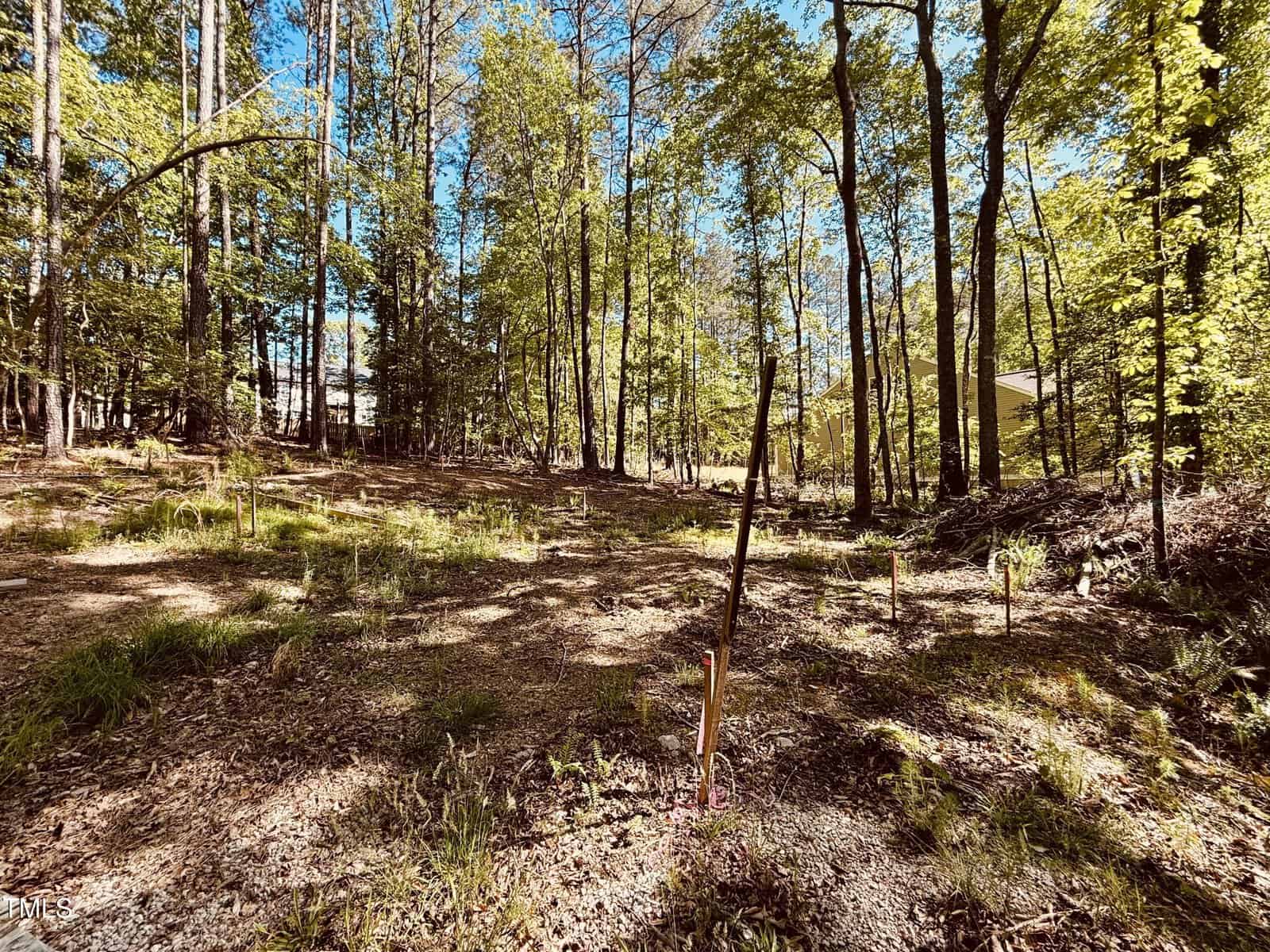 A wooded lot with tall trees and scattered undergrowth, some small plants, and visible stakes marking the ground; a building with a light-colored exterior is partially visible on the right side.