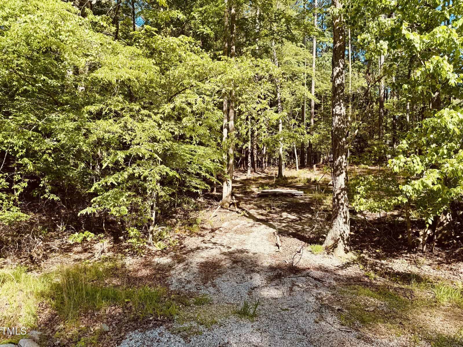 A sunlit forest scene with a gravel path leading into dense green trees. Bright sunlight casts shadows on the ground, and fresh green leaves cover the trees, suggesting a late spring or summer day.