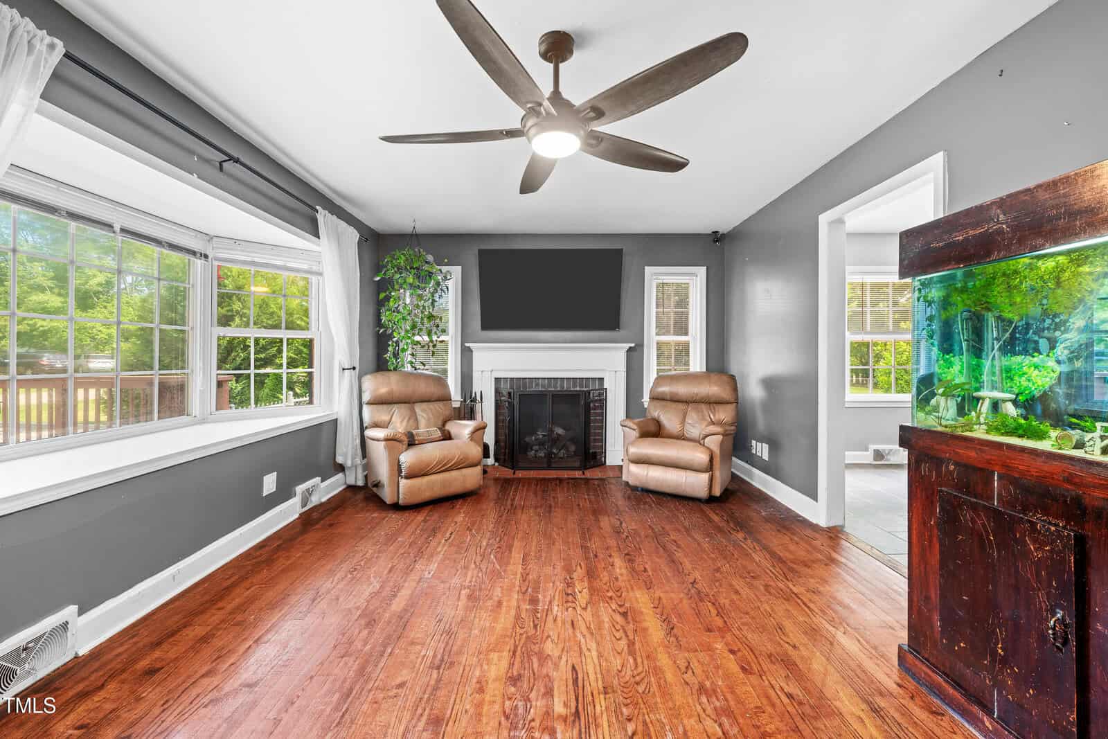 A bright living room with wood floors, gray walls, two brown recliners by a white fireplace, a ceiling fan, large windows with curtains, and an aquarium on a wooden stand.