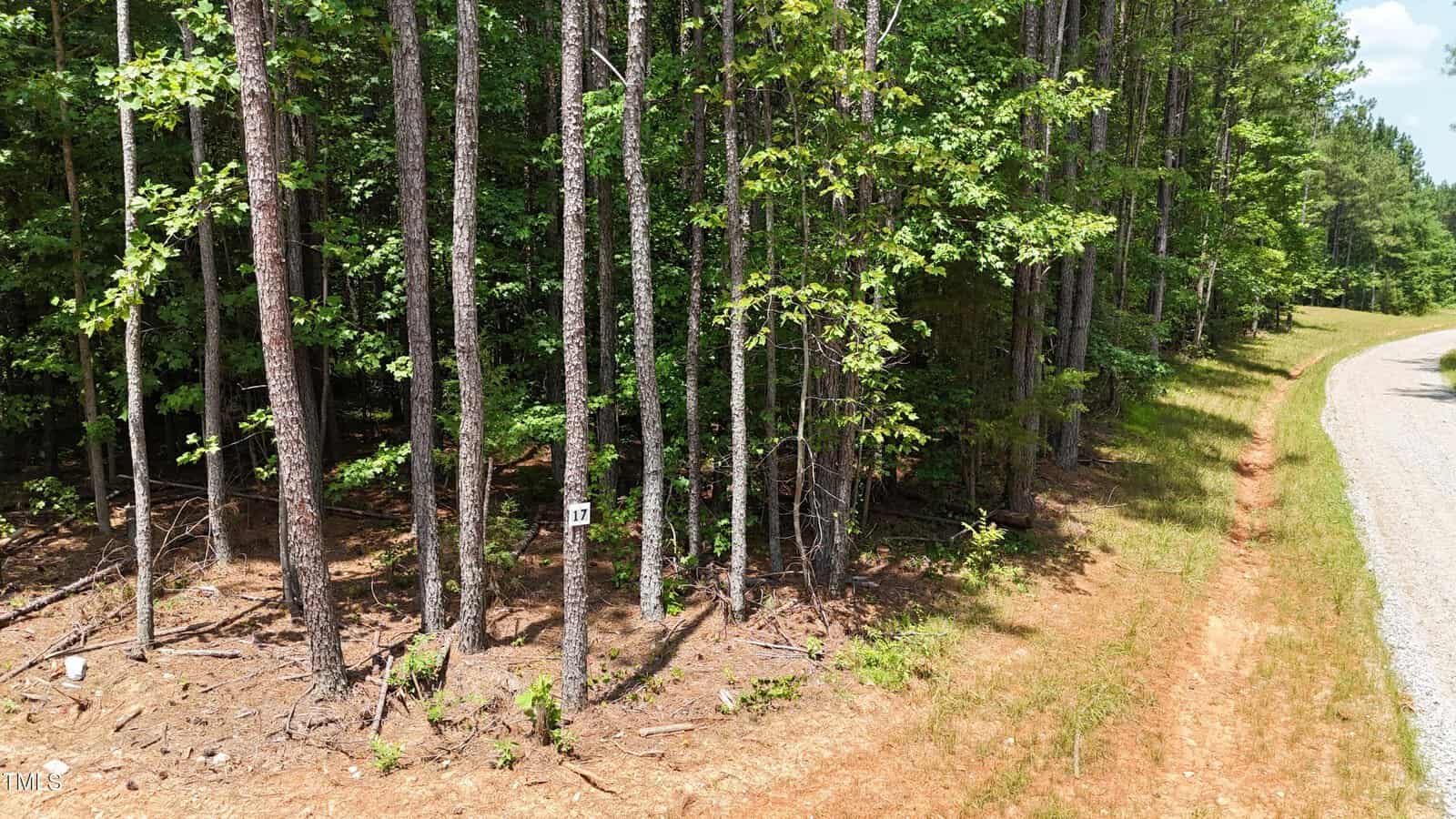 A gravel road curves past a wooded area with tall, slender pine trees and green foliage. The ground is covered with dry leaves and patches of red dirt. A small sign with the number 21 is attached to one of the trees.